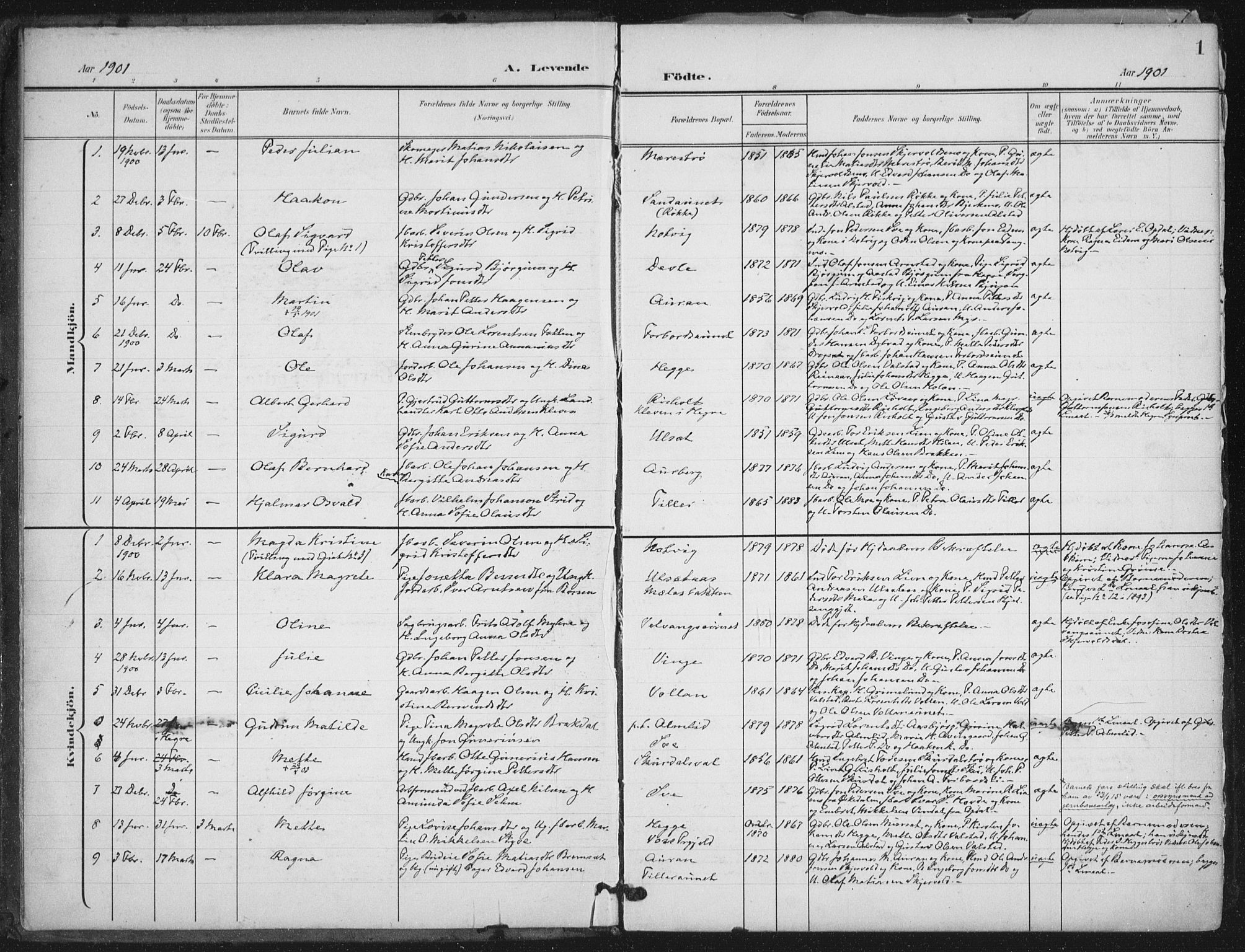 Ministerialprotokoller, klokkerbøker og fødselsregistre - Nord-Trøndelag, SAT/A-1458/712/L0101: Parish register (official) no. 712A02, 1901-1916, p. 1
