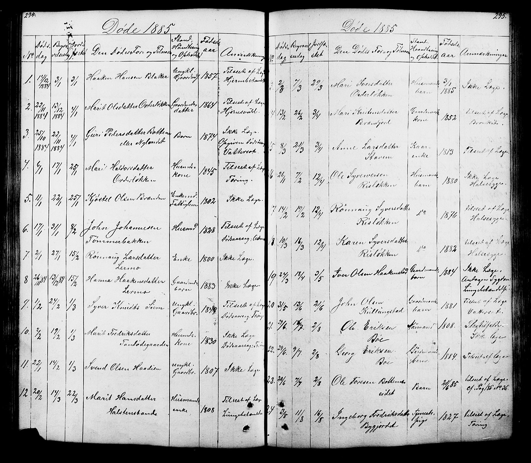 Lesja prestekontor, SAH/PREST-068/H/Ha/Hab/L0005: Parish register (copy) no. 5, 1850-1894, p. 294-295