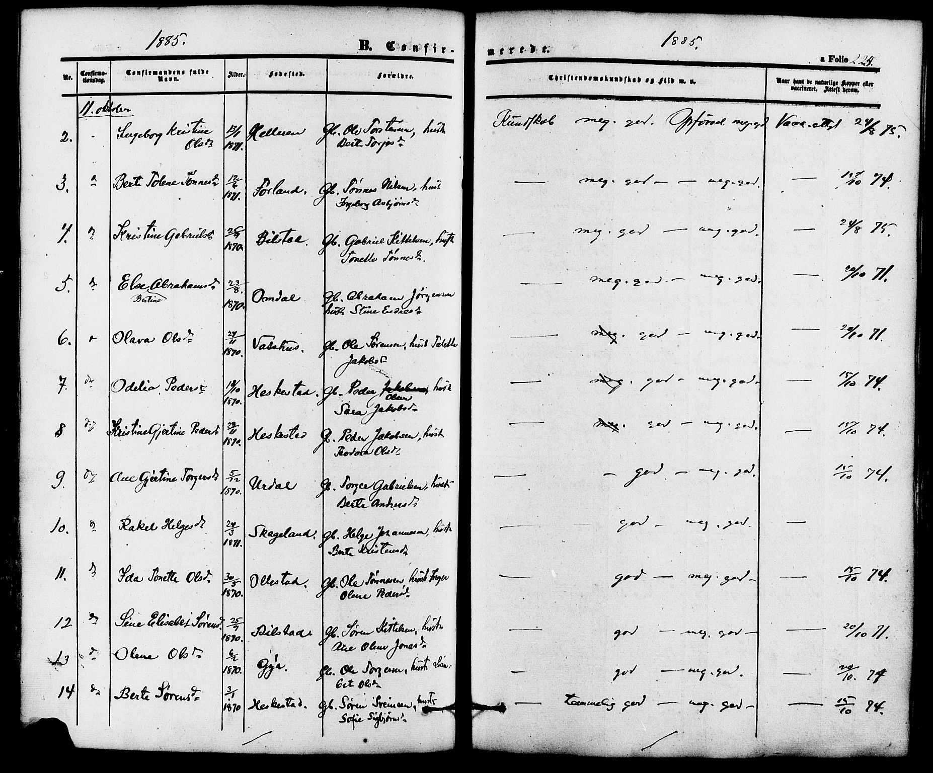 Lund sokneprestkontor, AV/SAST-A-101809/S06/L0010: Parish register (official) no. A 9, 1854-1886, p. 225