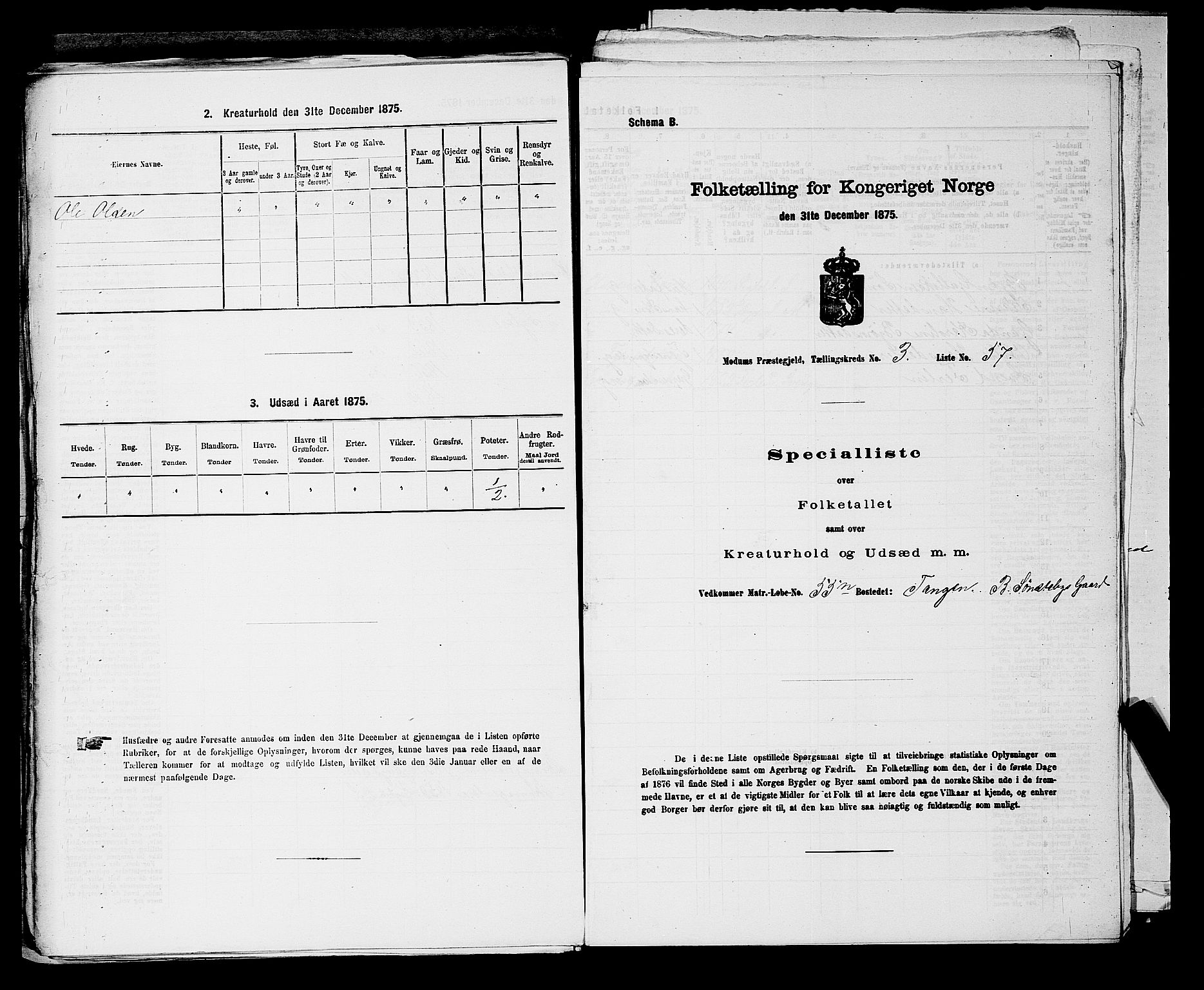 SAKO, 1875 census for 0623P Modum, 1875, p. 423