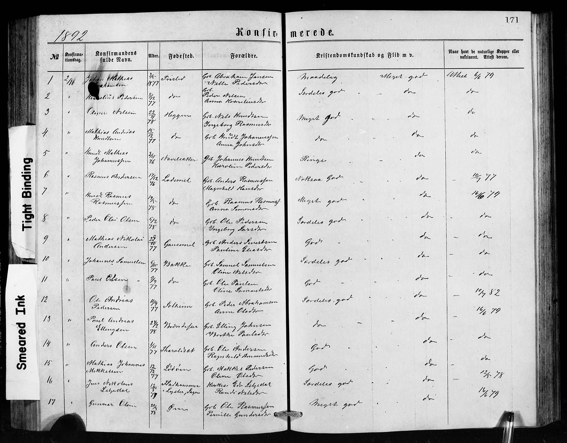 Hornindal sokneprestembete, SAB/A-82401/H/Hab: Parish register (copy) no. A 1, 1876-1894, p. 171