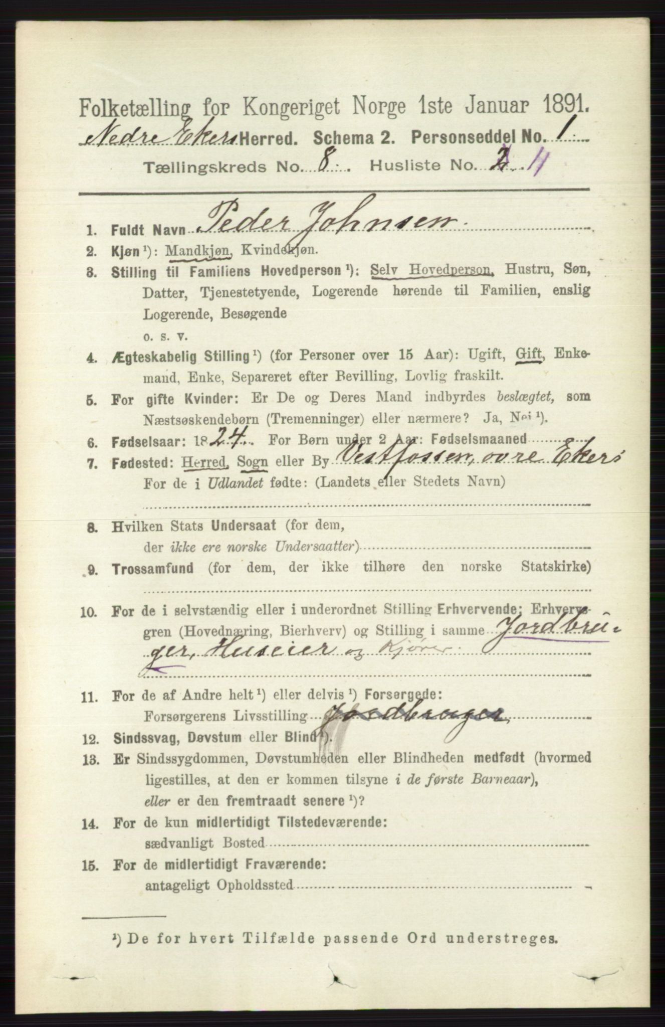 RA, 1891 census for 0625 Nedre Eiker, 1891, p. 4009