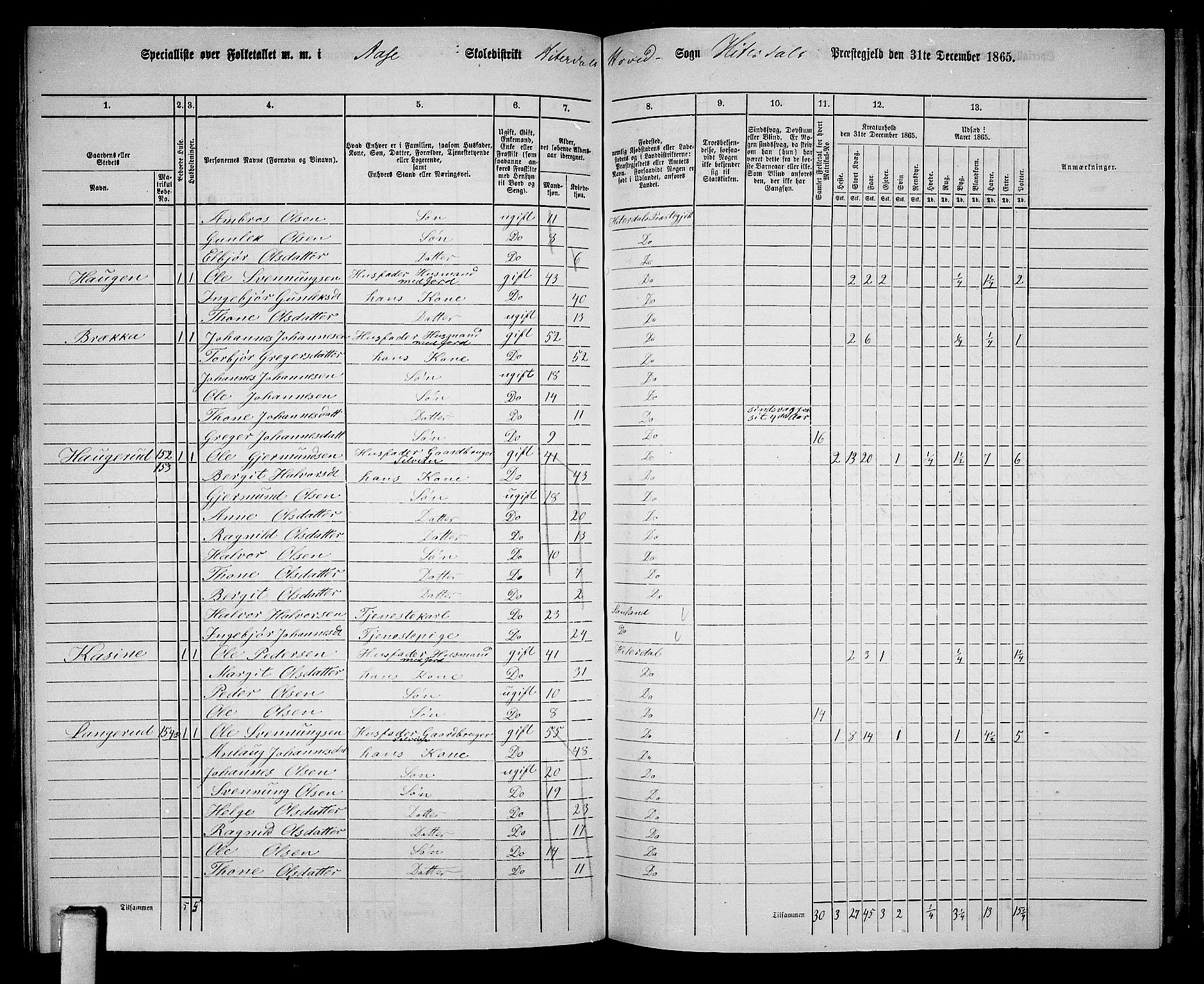RA, 1865 census for Heddal, 1865, p. 118