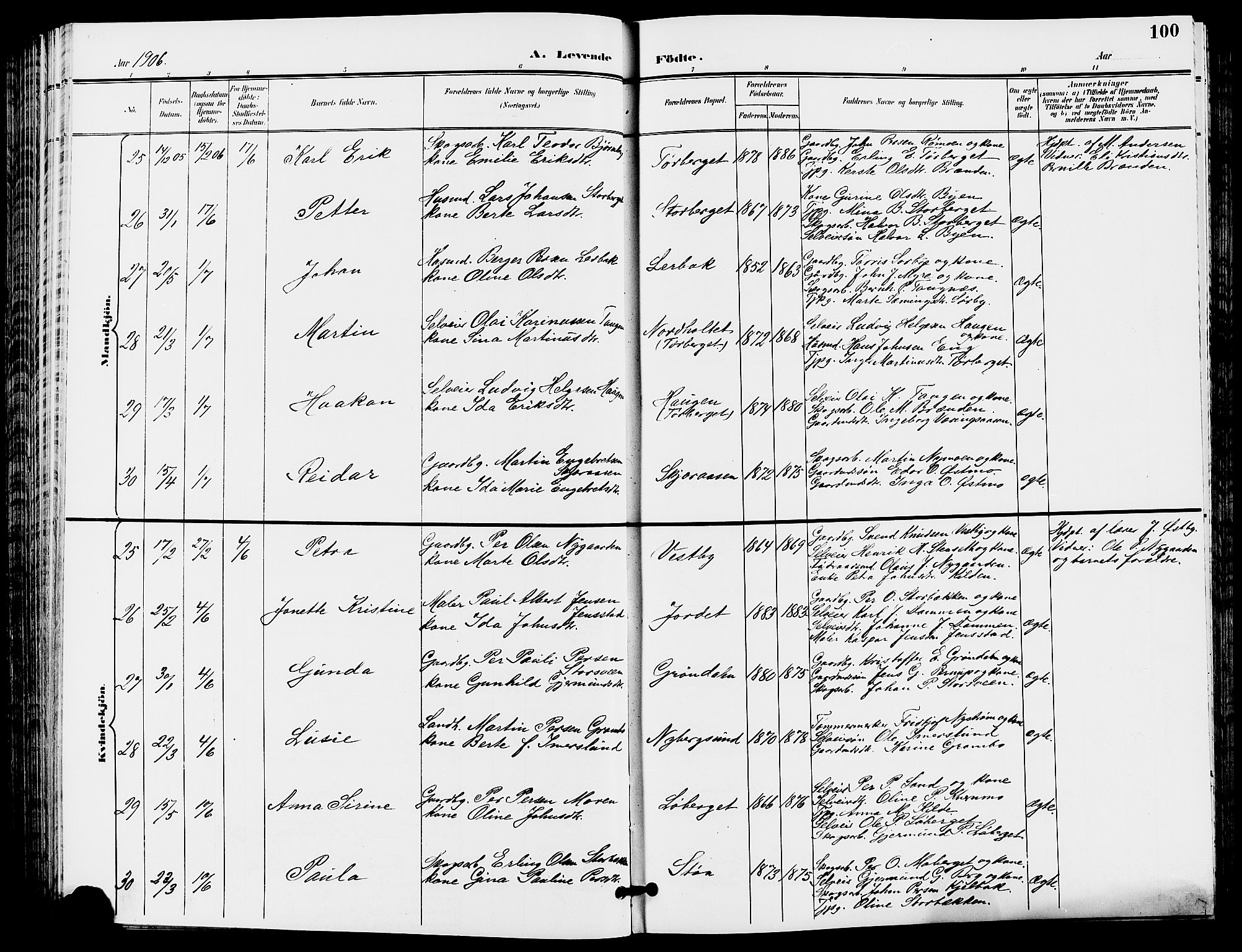 Trysil prestekontor, AV/SAH-PREST-046/H/Ha/Hab/L0006: Parish register (copy) no. 6, 1896-1912, p. 100