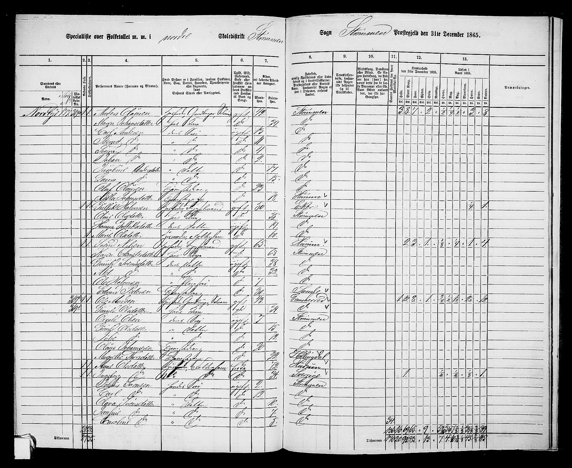 RA, 1865 census for Strømm, 1865, p. 41