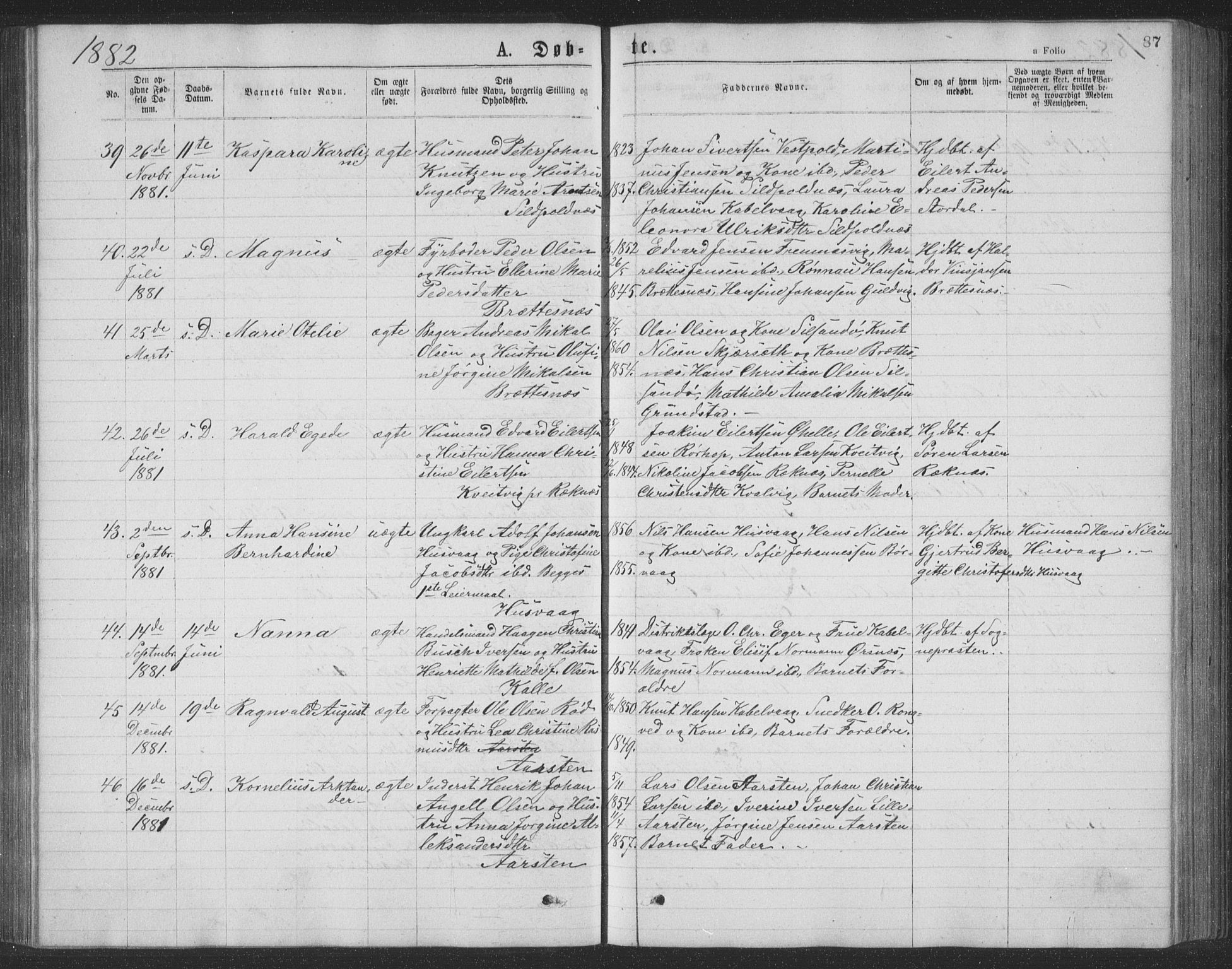 Ministerialprotokoller, klokkerbøker og fødselsregistre - Nordland, AV/SAT-A-1459/874/L1075: Parish register (copy) no. 874C04, 1876-1883, p. 87