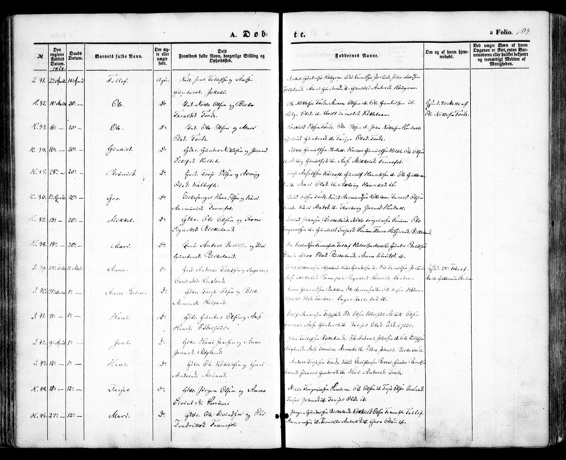 Evje sokneprestkontor, AV/SAK-1111-0008/F/Fa/Faa/L0005: Parish register (official) no. A 5, 1843-1865, p. 104