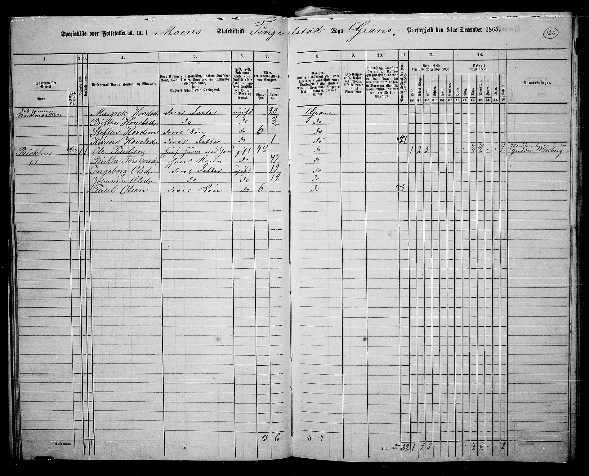 RA, 1865 census for Gran, 1865, p. 106