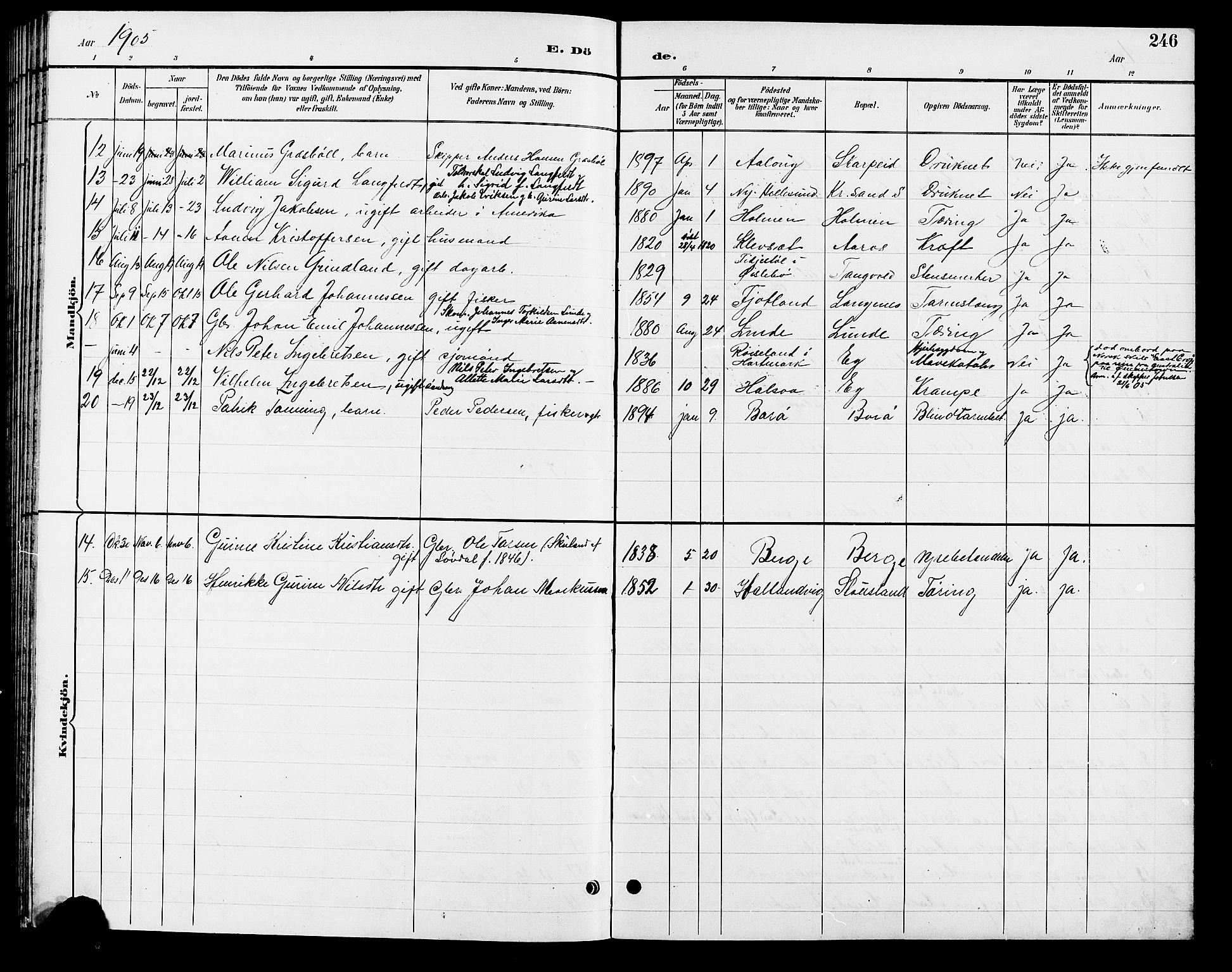 Søgne sokneprestkontor, AV/SAK-1111-0037/F/Fb/Fbb/L0006: Parish register (copy) no. B 6, 1892-1911, p. 246