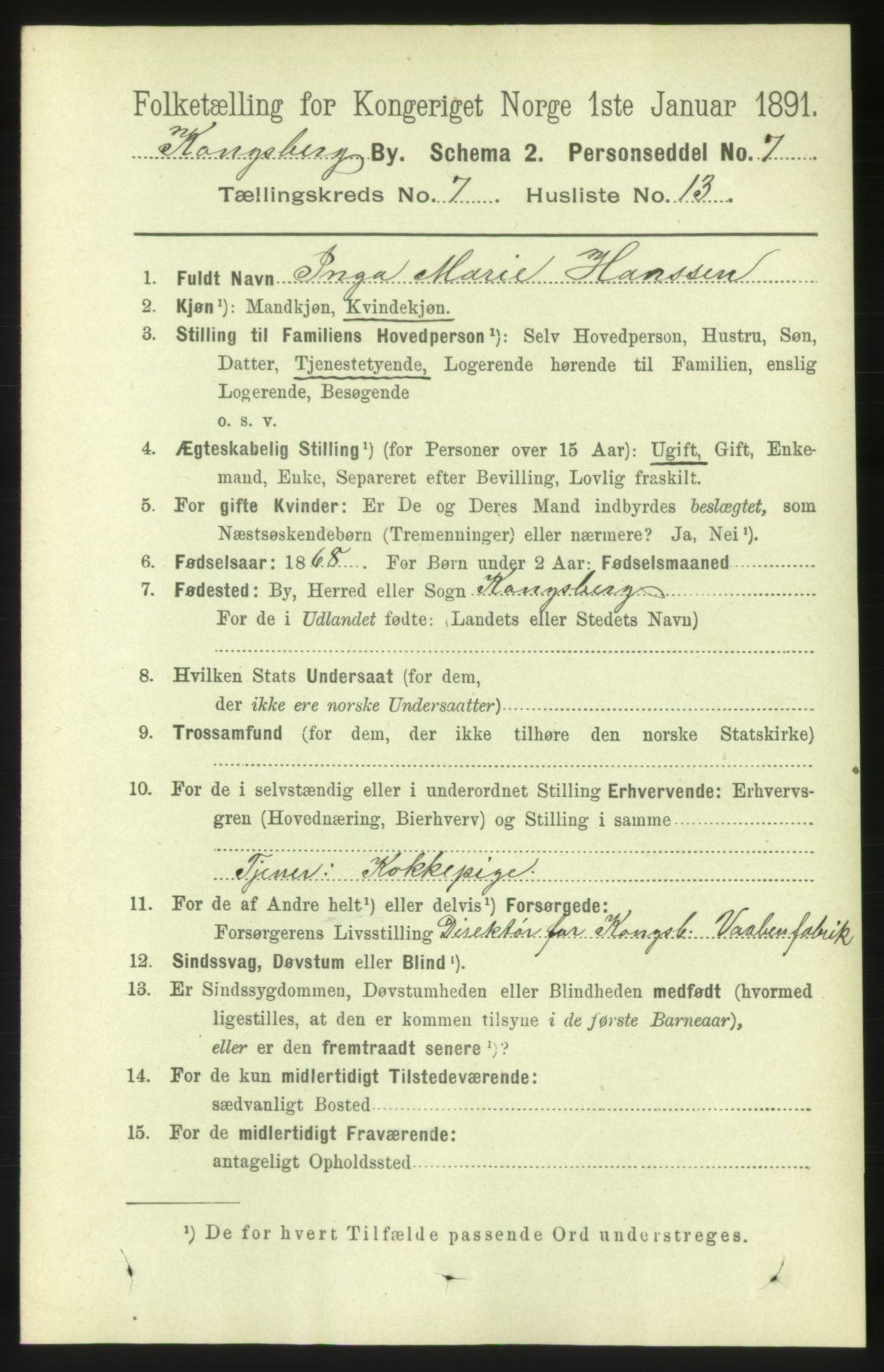 RA, 1891 census for 0604 Kongsberg, 1891, p. 5119