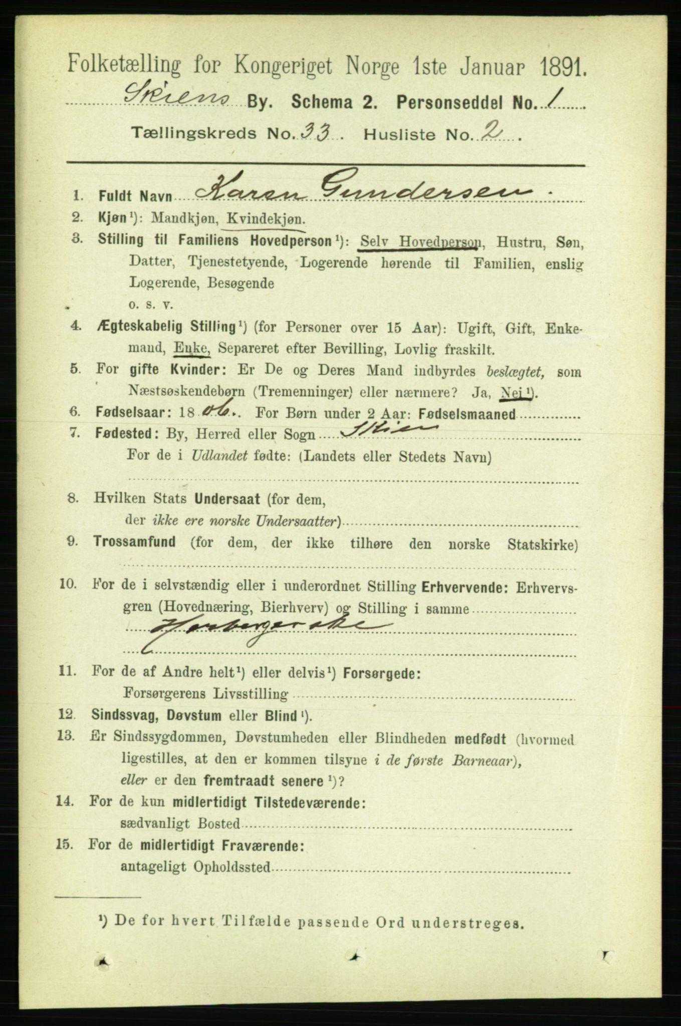 RA, 1891 census for 0806 Skien, 1891, p. 7501