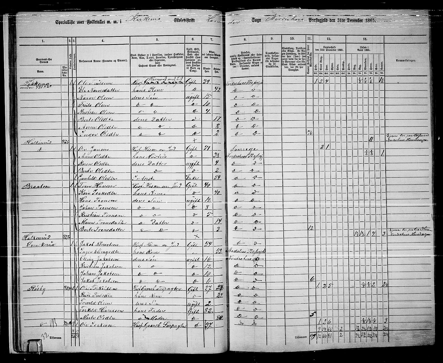 RA, 1865 census for Norderhov/Norderhov, Haug og Lunder, 1865, p. 31