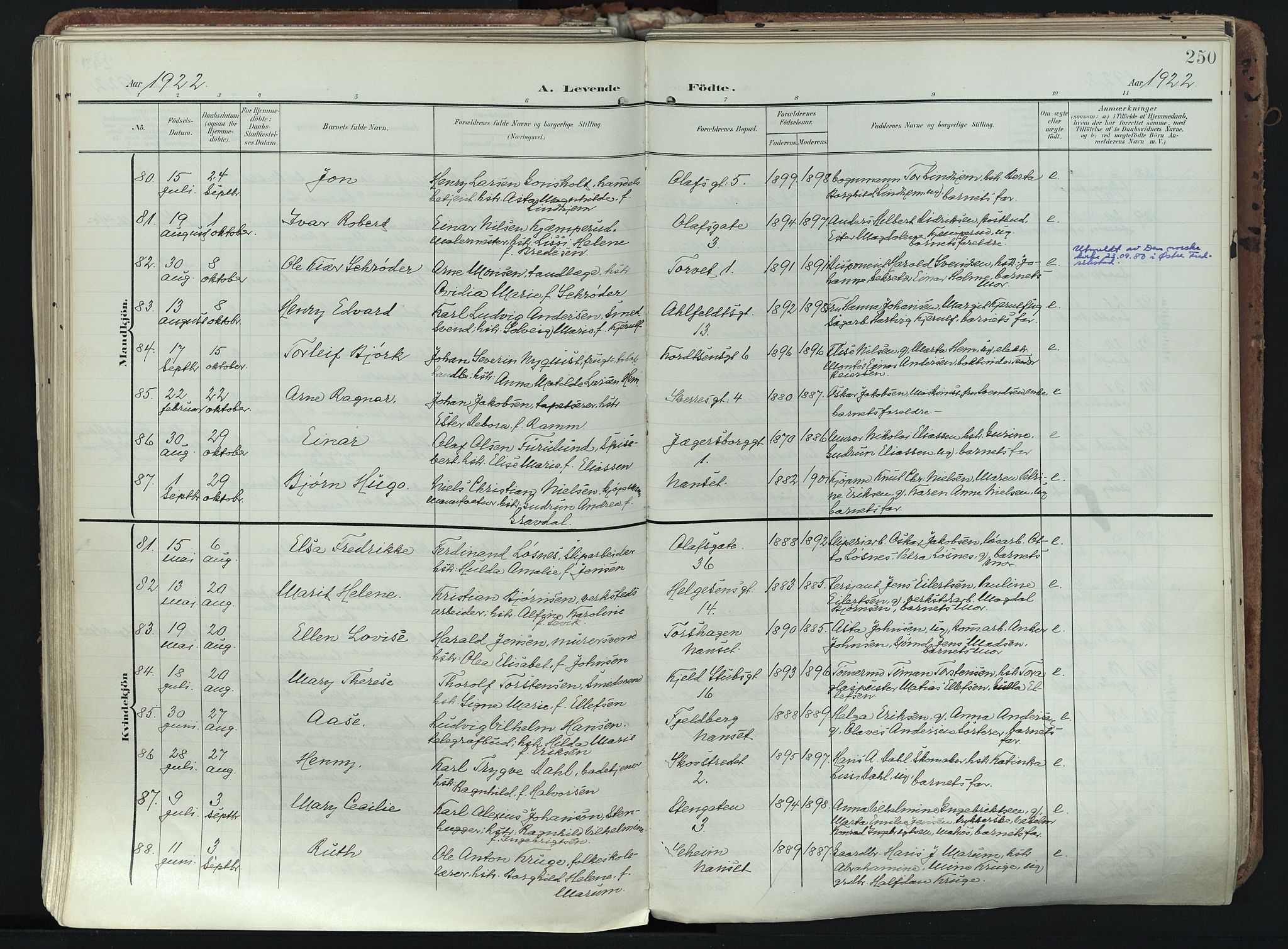 Larvik kirkebøker, AV/SAKO-A-352/F/Fa/L0012: Parish register (official) no. I 12, 1905-1933, p. 250