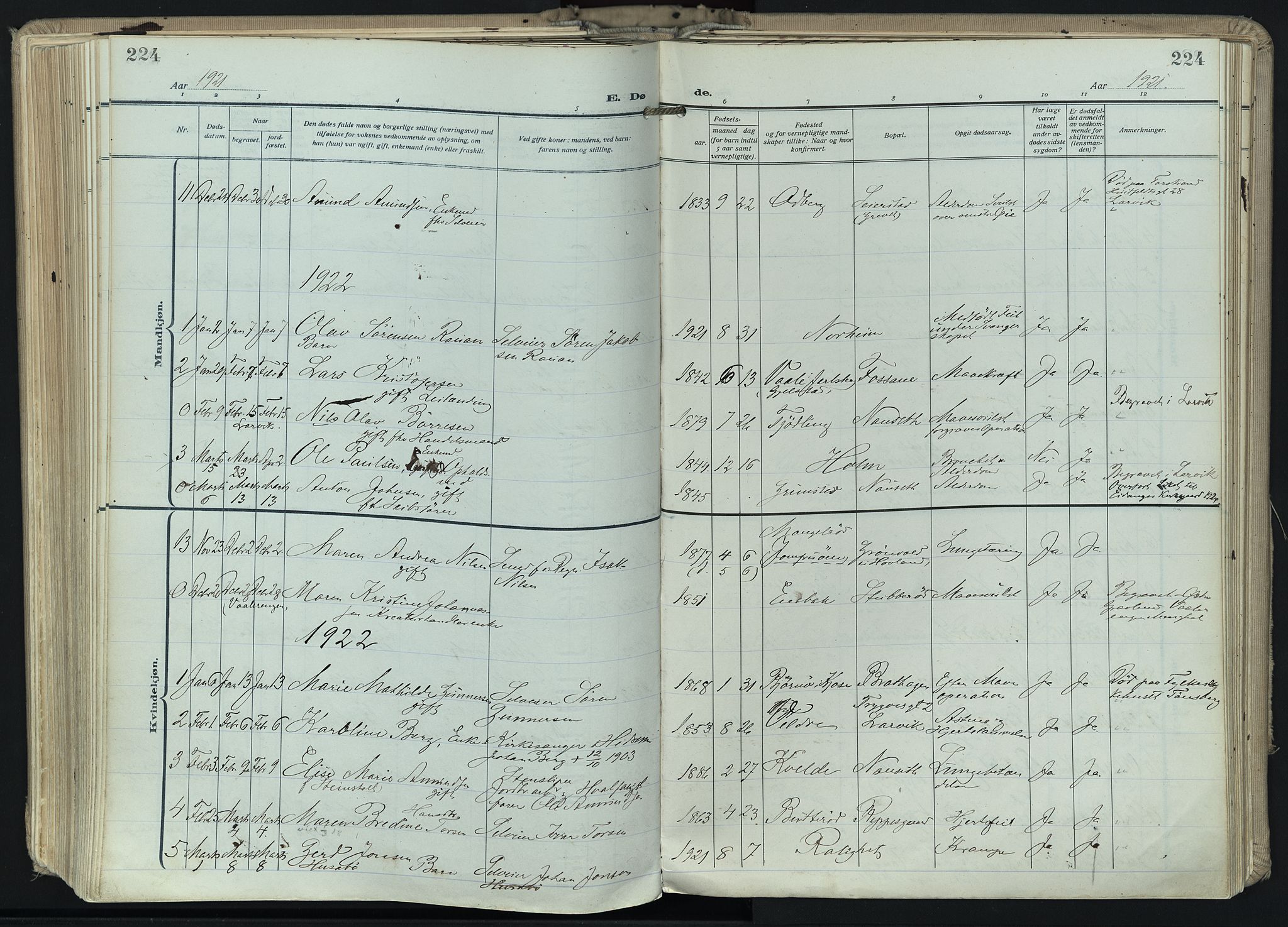 Hedrum kirkebøker, SAKO/A-344/F/Fa/L0011: Parish register (official) no. I 11, 1919-1933, p. 224