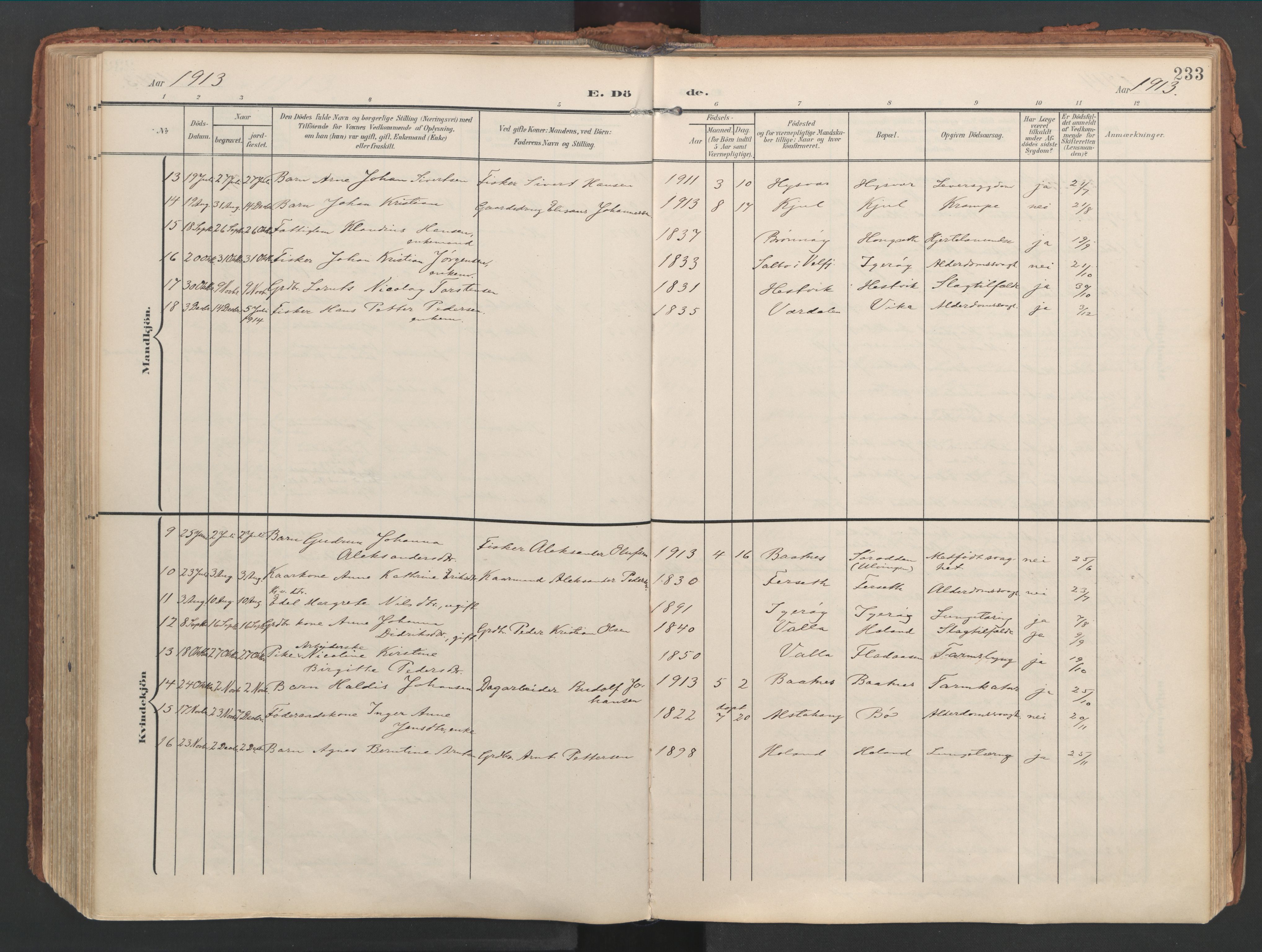 Ministerialprotokoller, klokkerbøker og fødselsregistre - Nordland, AV/SAT-A-1459/816/L0250: Parish register (official) no. 816A16, 1903-1923, p. 233