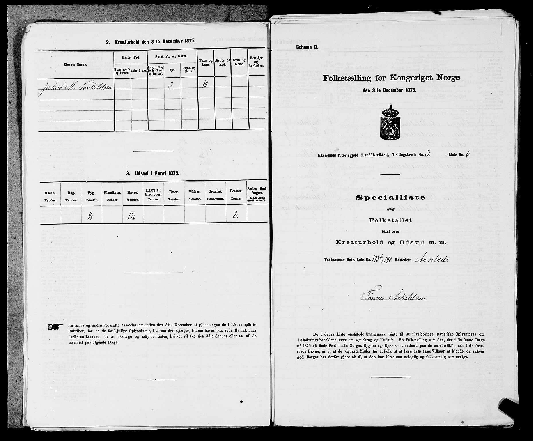 SAST, 1875 census for 1116L Eigersund/Eigersund og Ogna, 1875, p. 346