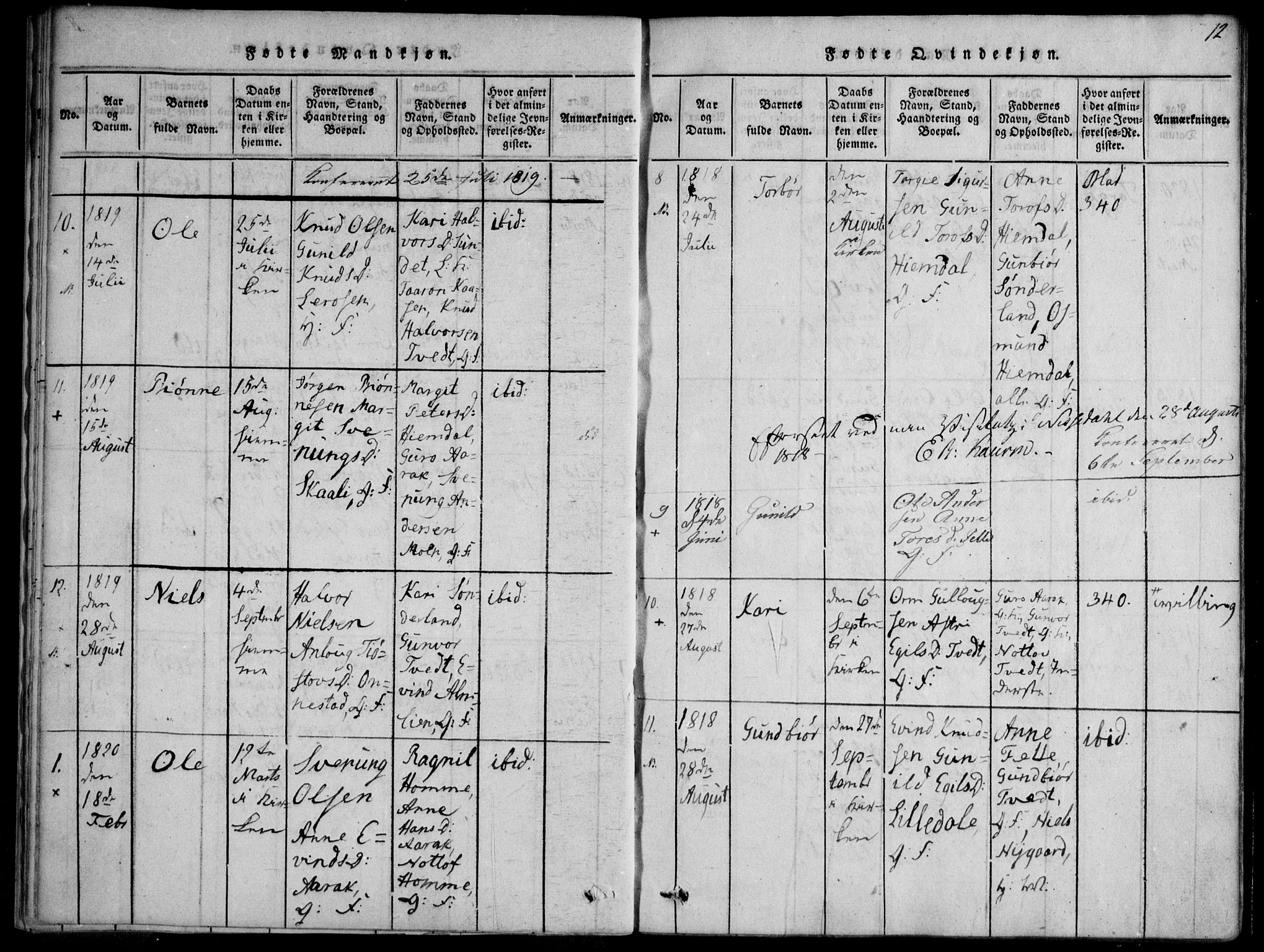 Nissedal kirkebøker, SAKO/A-288/F/Fb/L0001: Parish register (official) no. II 1, 1814-1845, p. 12