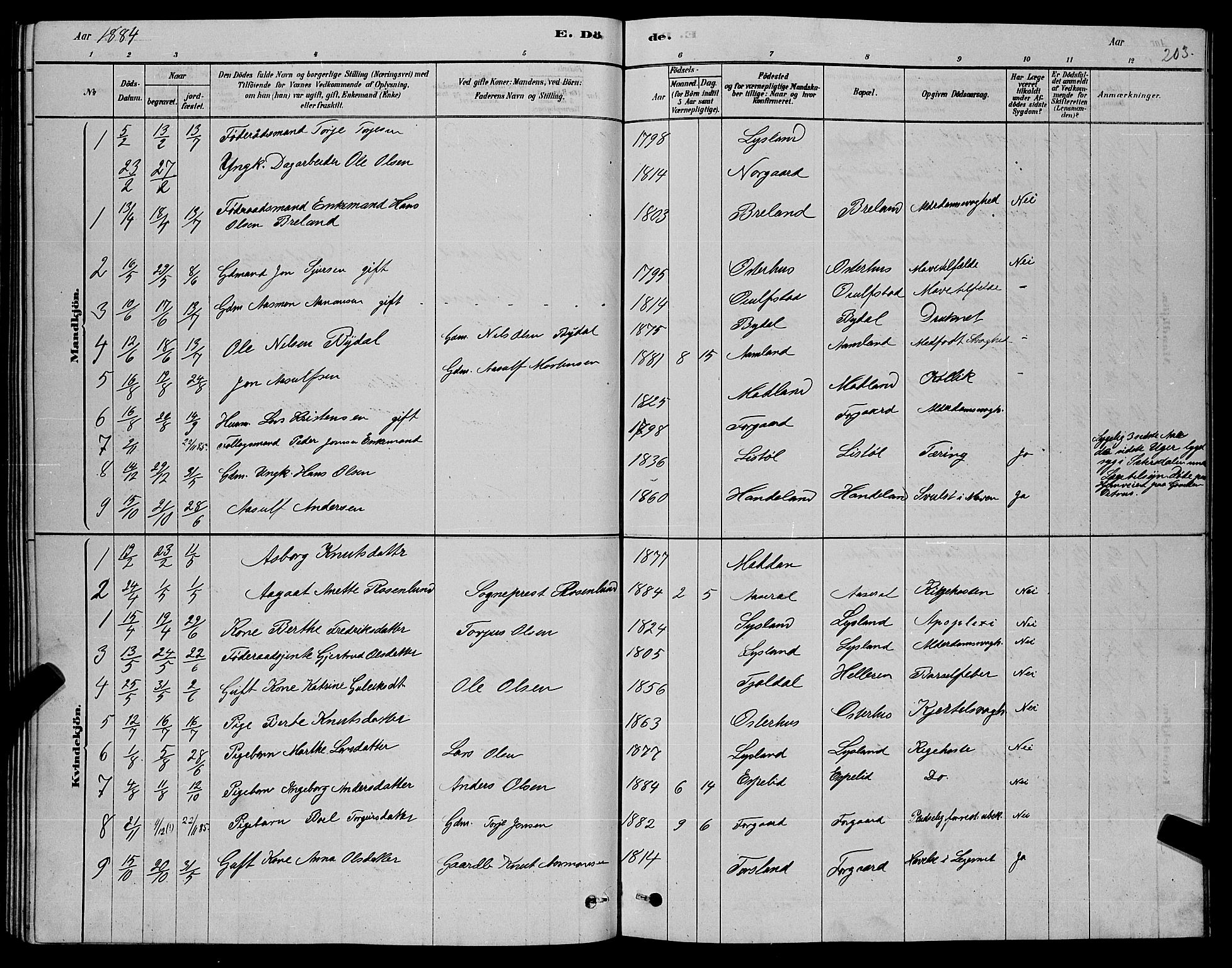 Åseral sokneprestkontor, AV/SAK-1111-0051/F/Fb/L0002: Parish register (copy) no. B 2, 1878-1899, p. 203