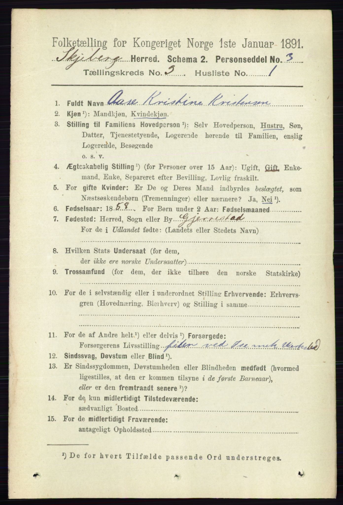 RA, 1891 census for 0115 Skjeberg, 1891, p. 1490