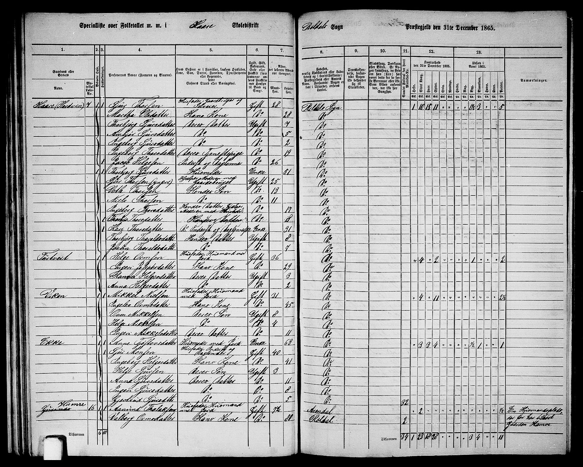 RA, 1865 census for Suldal, 1865, p. 159