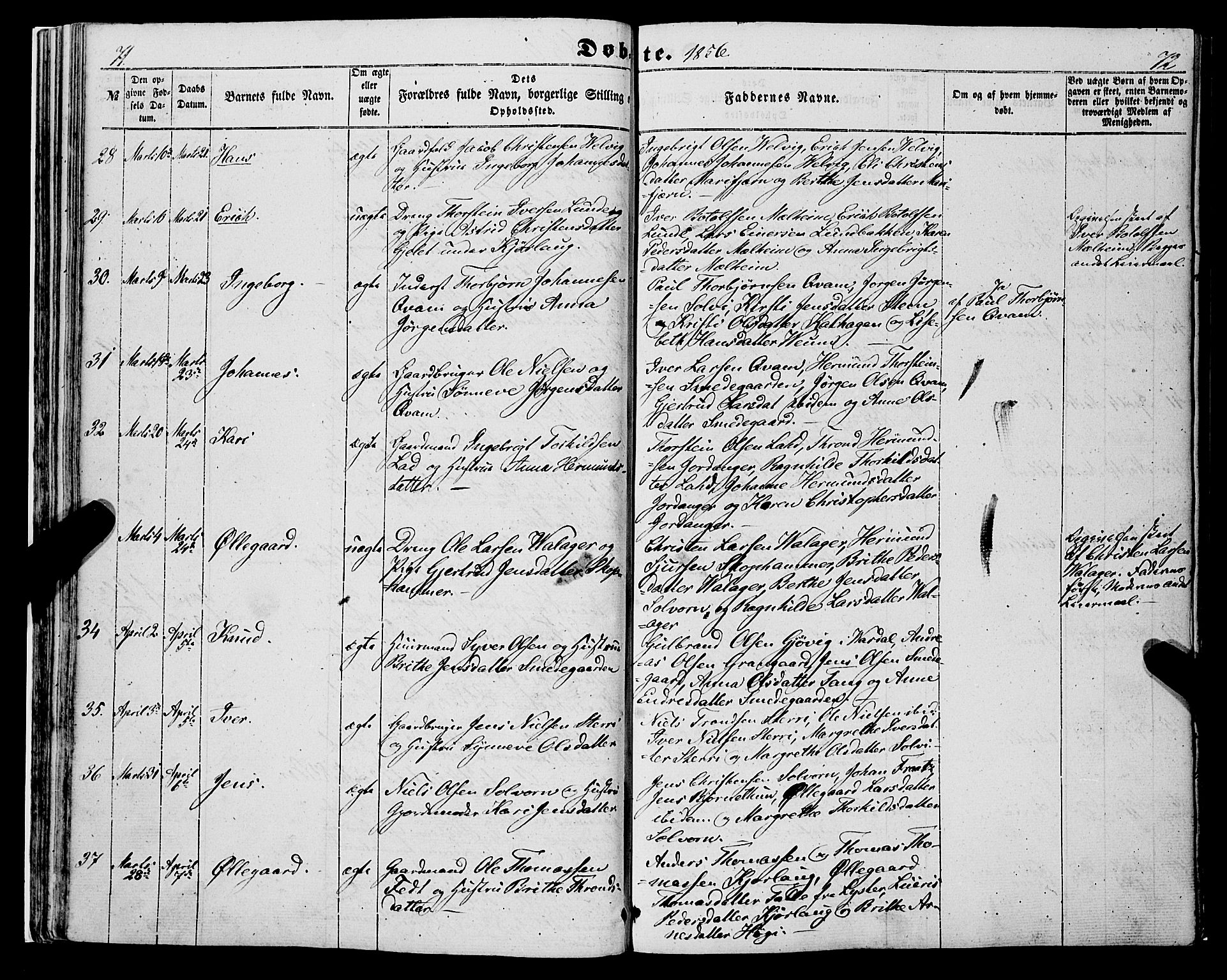 Hafslo sokneprestembete, AV/SAB-A-80301/H/Haa/Haaa/L0009: Parish register (official) no. A 9, 1852-1873, p. 71-72