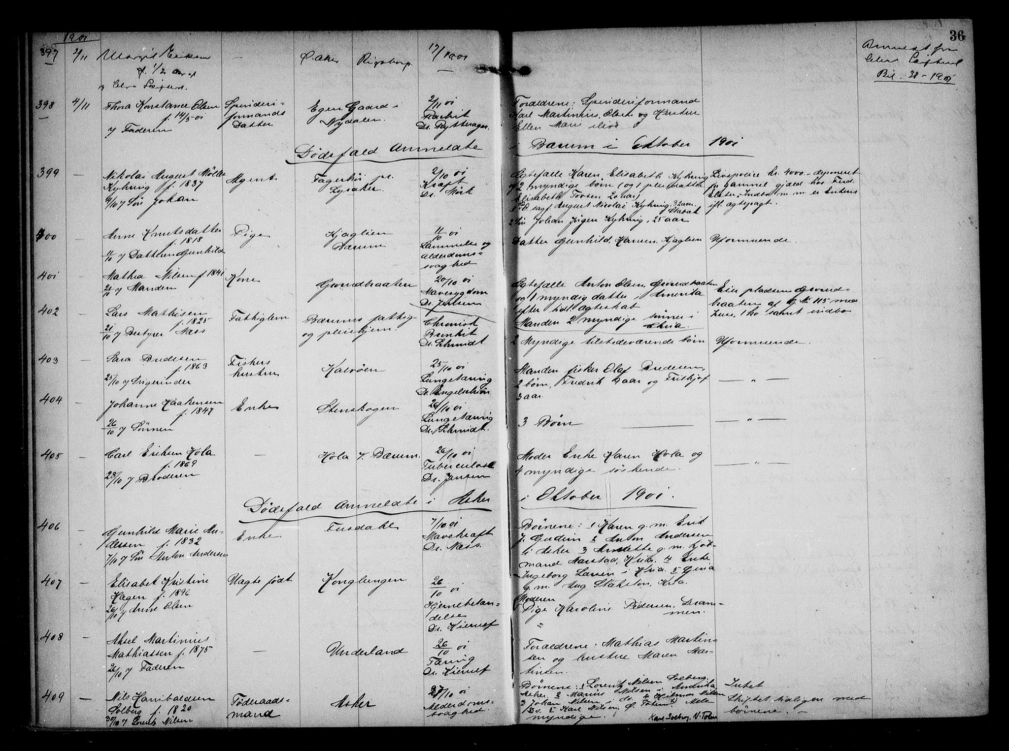 Aker kriminaldommer, skifte- og auksjonsforvalterembete, AV/SAO-A-10452/H/Hb/Hba/Hbaa/L0001: Dødsfallsprotokoll, 1901-1907, p. 36