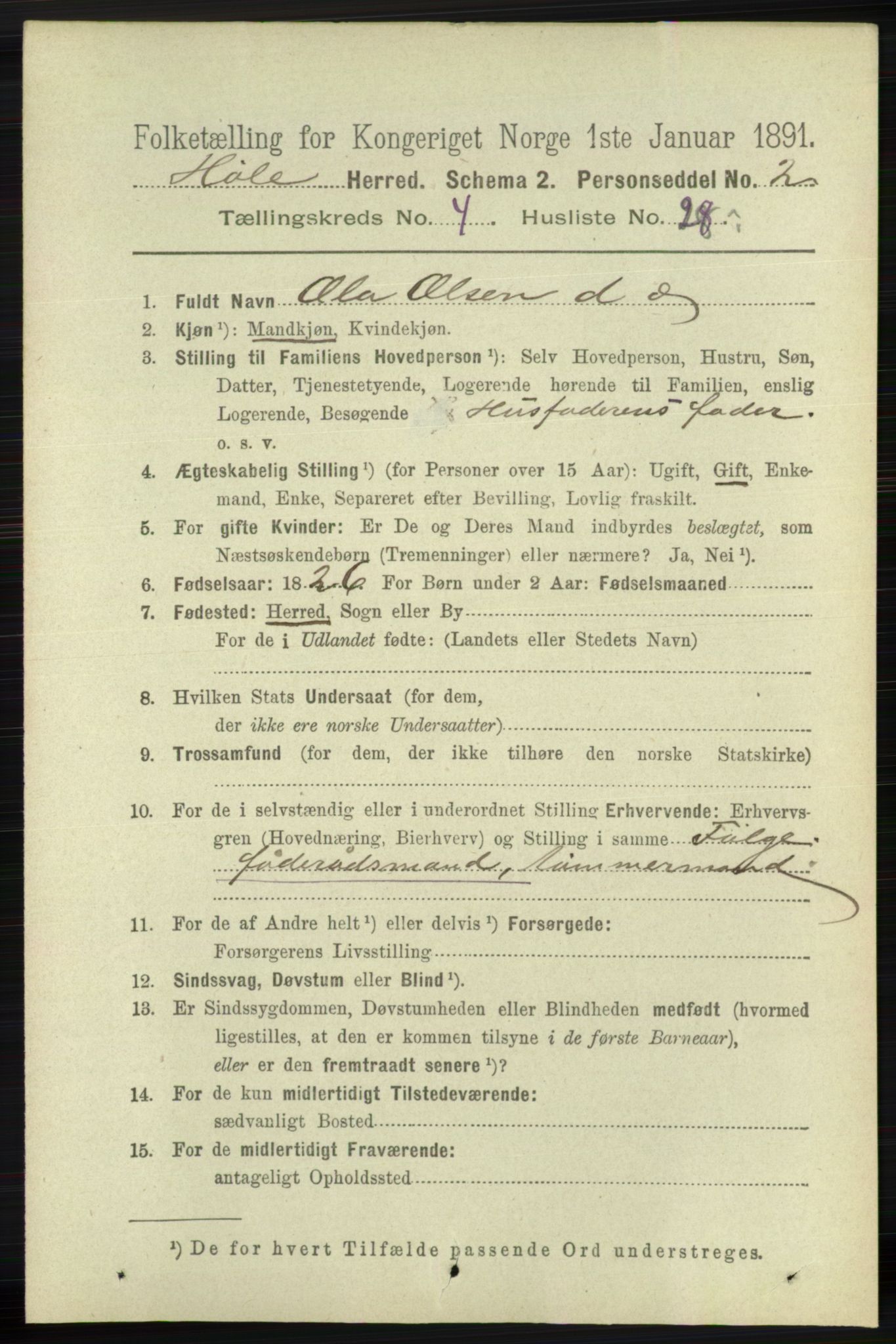 RA, 1891 census for 1128 Høle, 1891, p. 1007