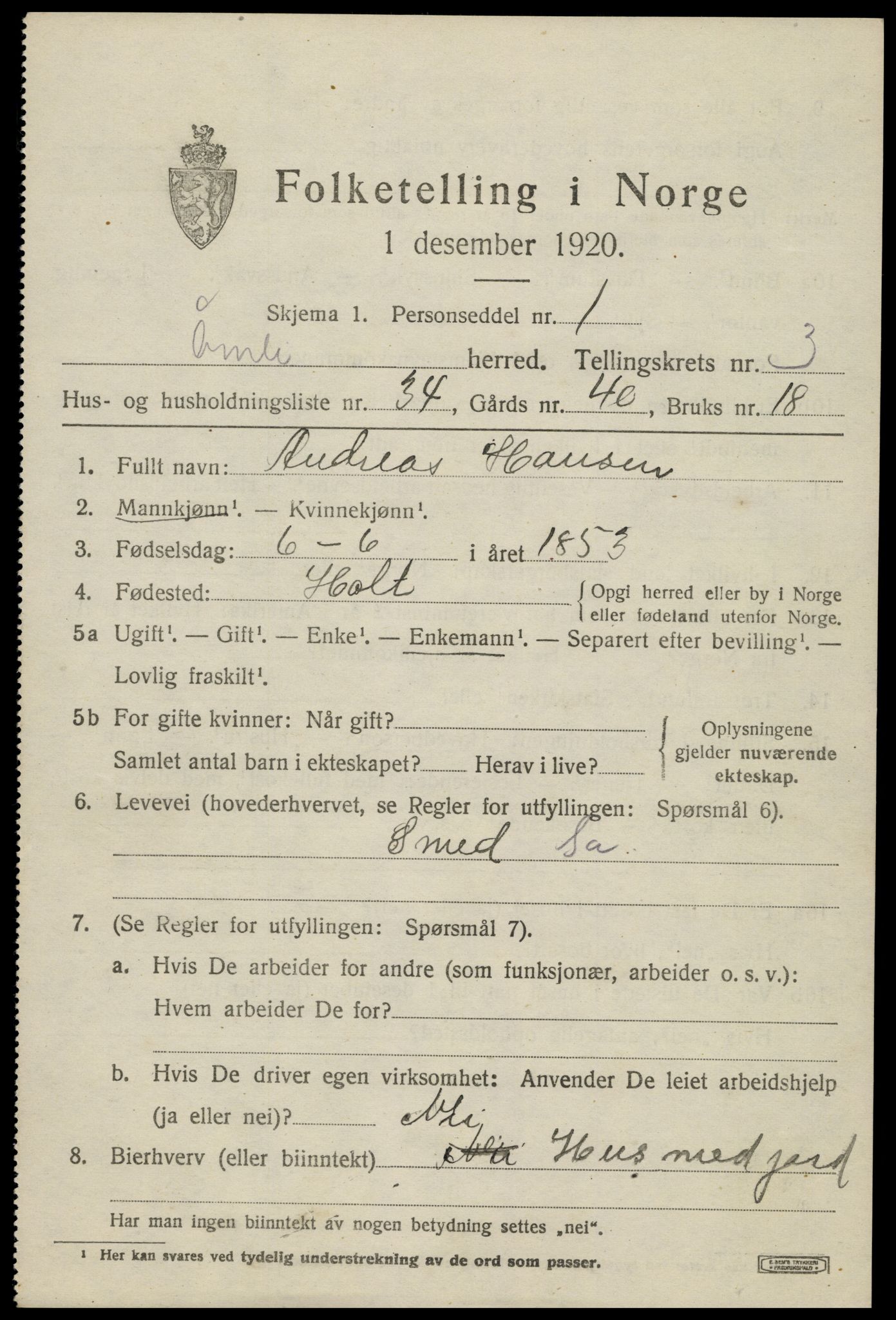 SAK, 1920 census for Åmli, 1920, p. 1601