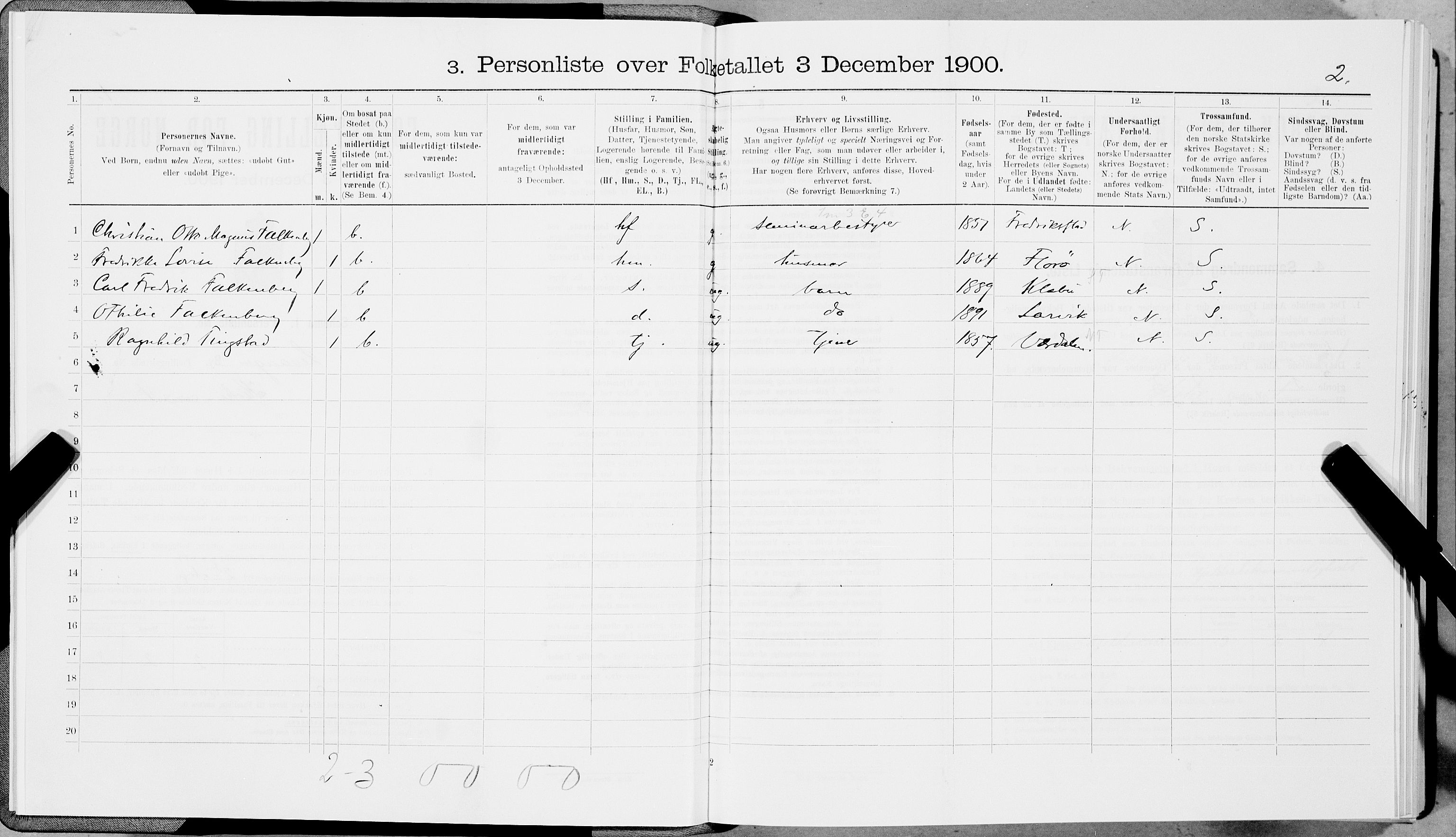 SAT, 1900 census for Levanger, 1900, p. 12