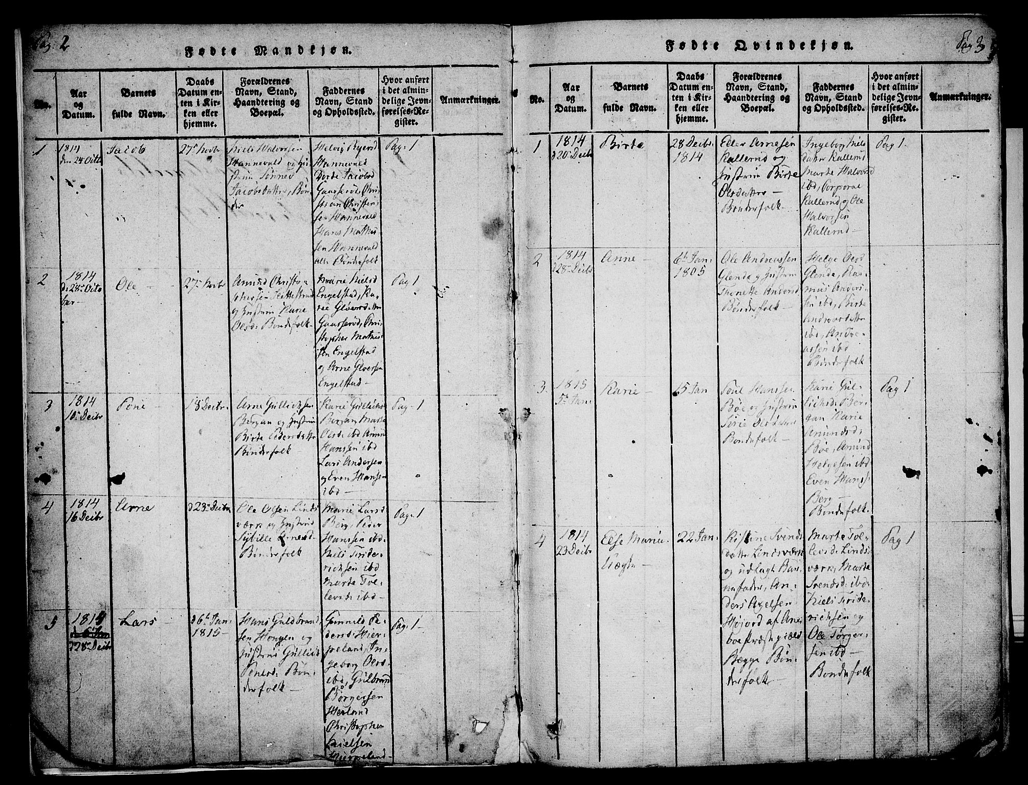 Lardal kirkebøker, AV/SAKO-A-350/F/Fa/L0005: Parish register (official) no. I 5, 1814-1835, p. 2-3