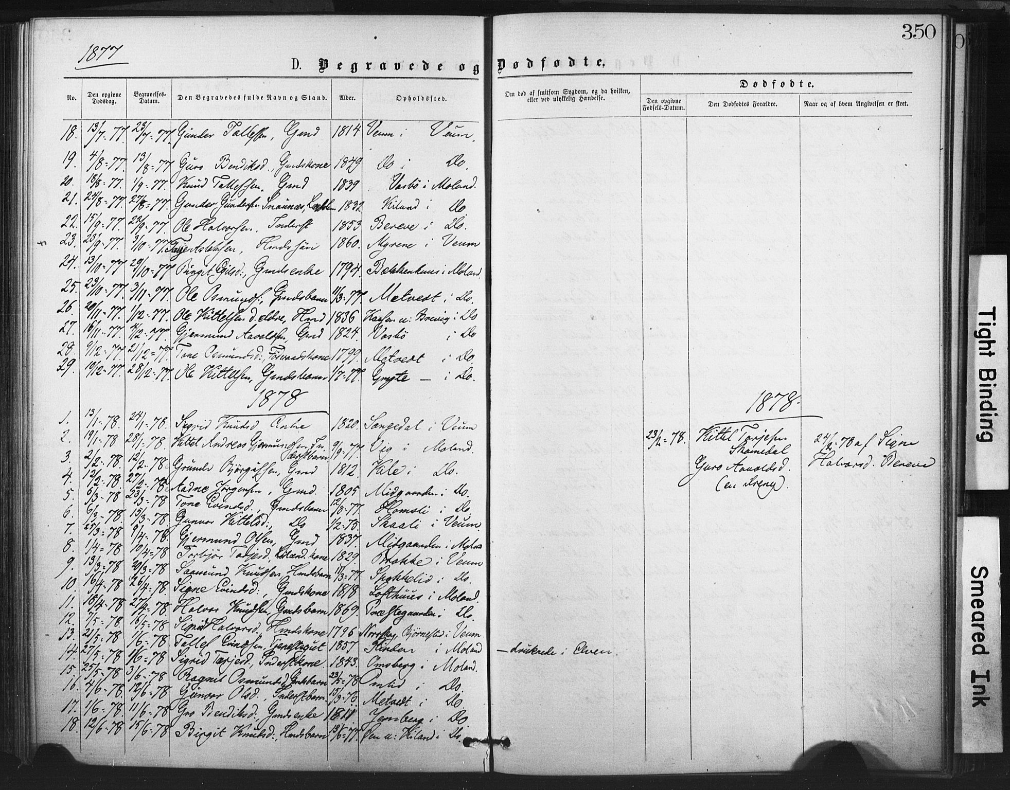 Fyresdal kirkebøker, AV/SAKO-A-263/F/Fa/L0006: Parish register (official) no. I 6, 1872-1886, p. 350