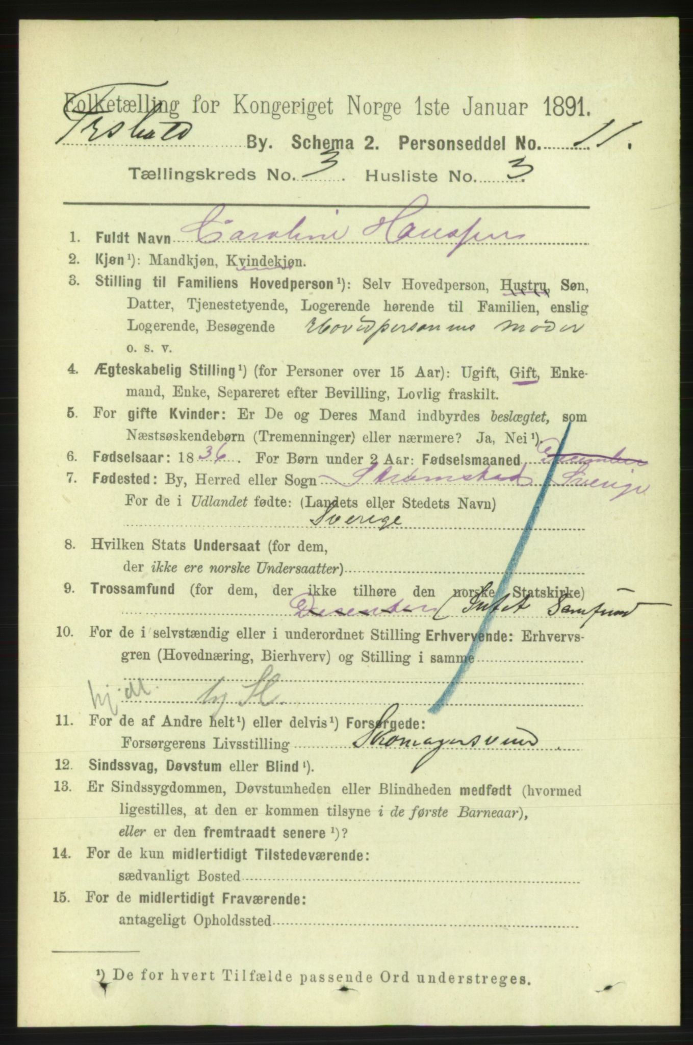 RA, 1891 census for 0101 Fredrikshald, 1891, p. 3262