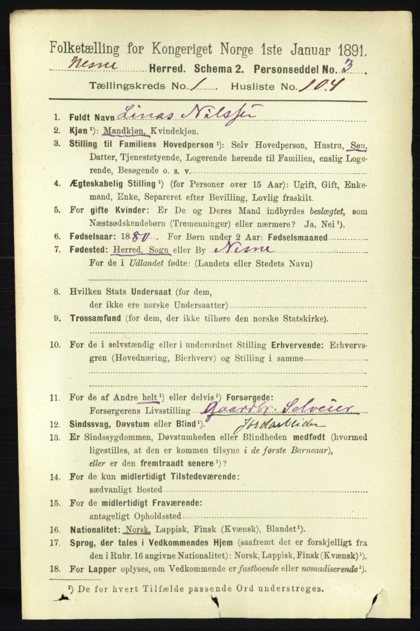 RA, 1891 census for 1828 Nesna, 1891, p. 739