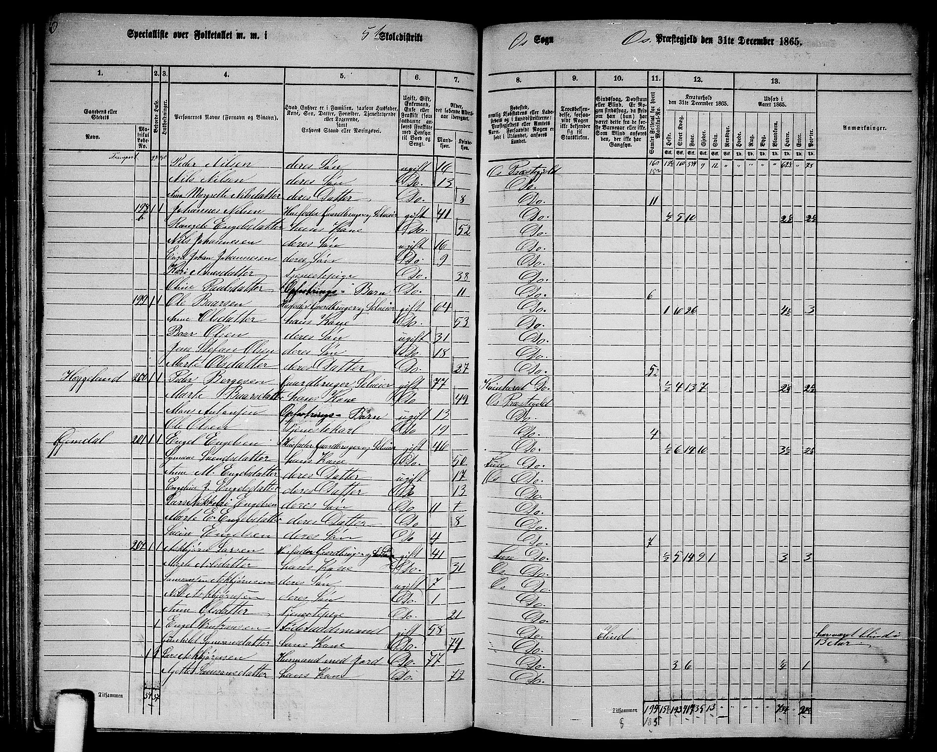 RA, 1865 census for Os, 1865, p. 92