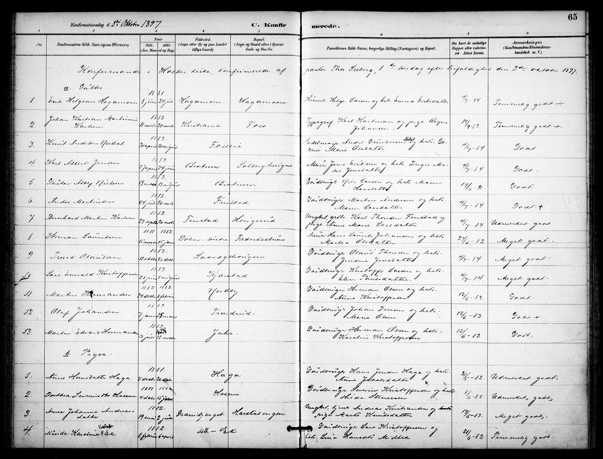 Nannestad prestekontor Kirkebøker, AV/SAO-A-10414a/F/Fb/L0002: Parish register (official) no. II 2, 1891-1909, p. 65