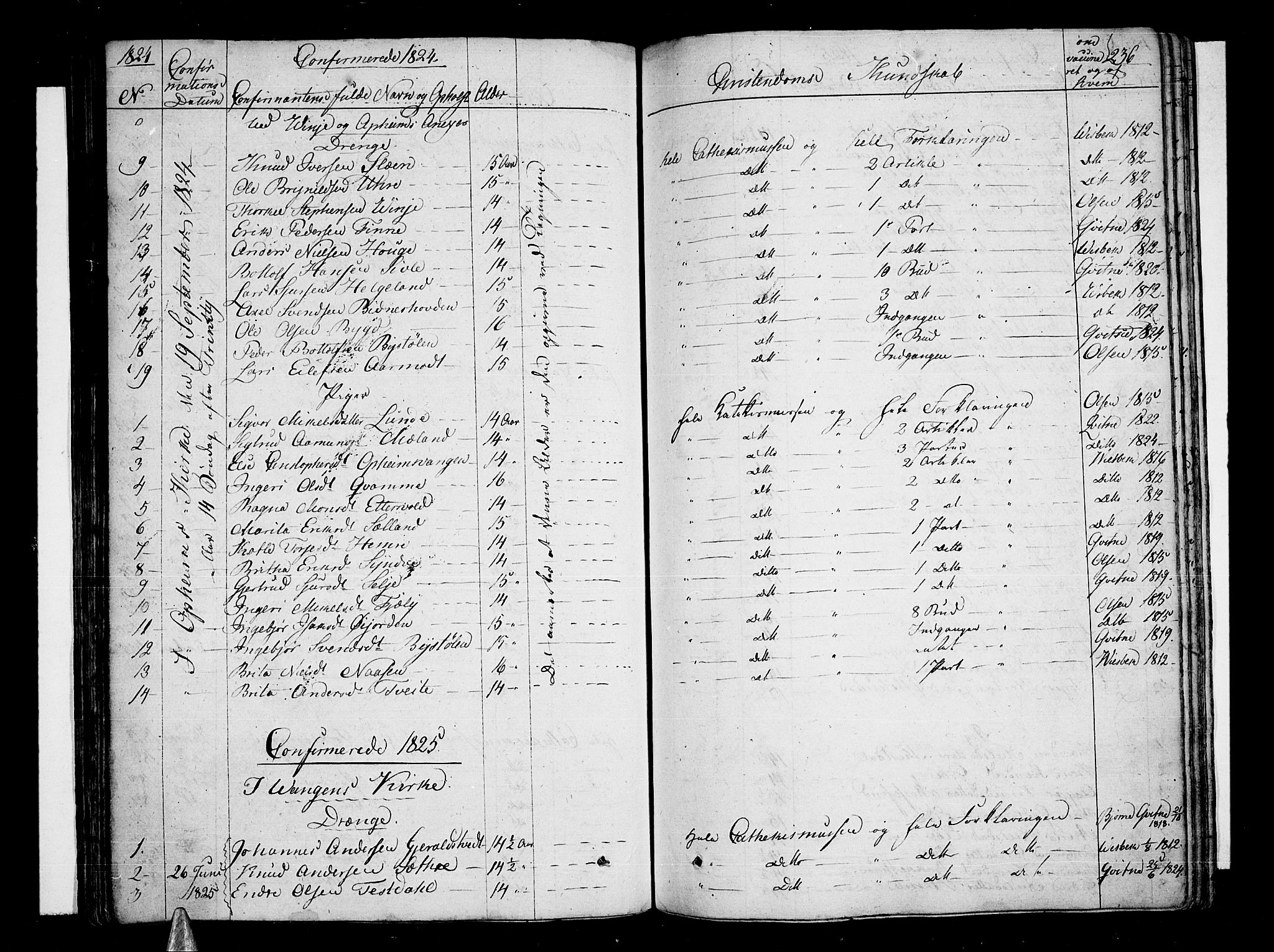 Voss sokneprestembete, SAB/A-79001/H/Haa: Parish register (official) no. A 12, 1823-1837, p. 236