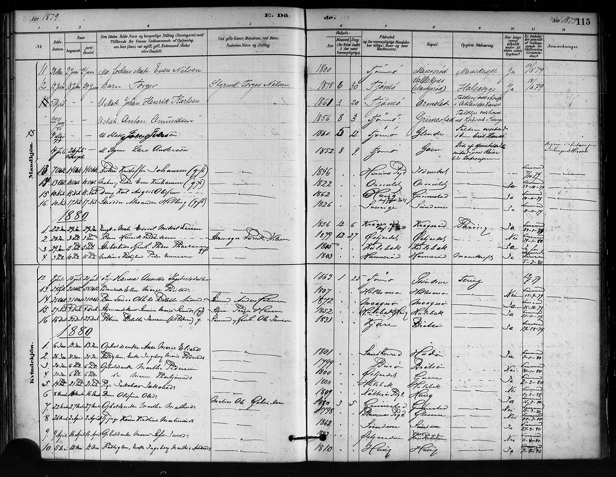 Tjøme kirkebøker, SAKO/A-328/F/Fa/L0001: Parish register (official) no. 1, 1879-1890, p. 115