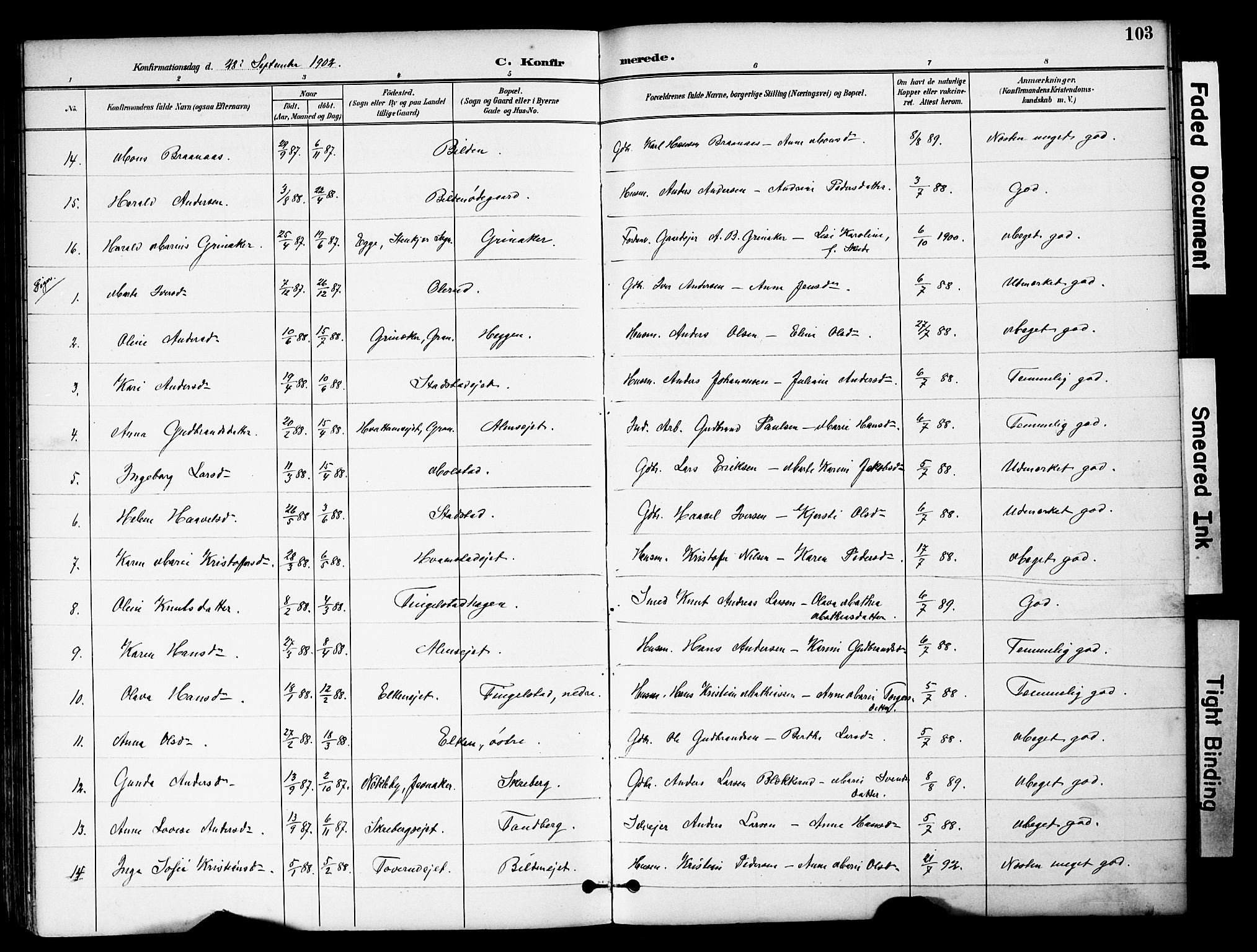Brandbu prestekontor, SAH/PREST-114/H/Ha/Hab/L0006: Parish register (copy) no. 6, 1893-1902, p. 103