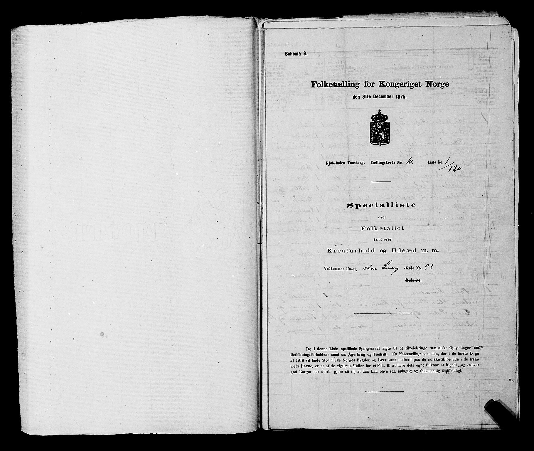 SAKO, 1875 census for 0705P Tønsberg, 1875, p. 299