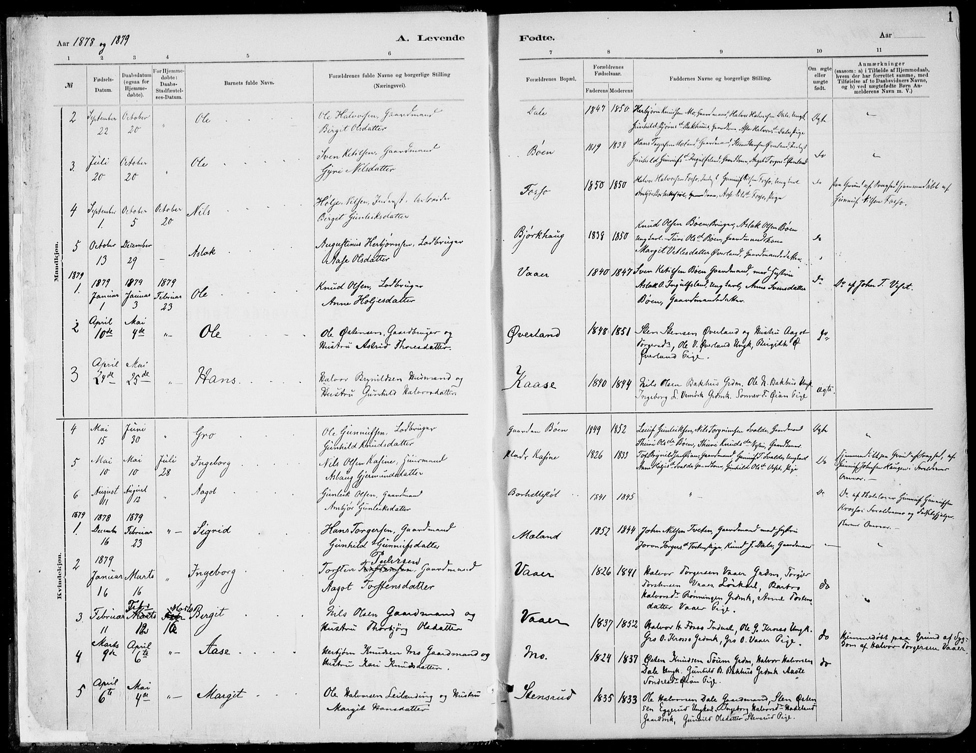 Rjukan kirkebøker, SAKO/A-294/F/Fa/L0001: Parish register (official) no. 1, 1878-1912, p. 1
