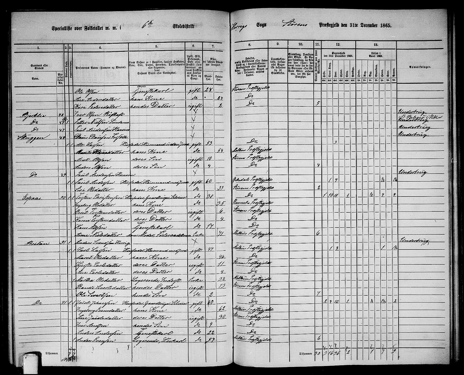 RA, 1865 census for Støren, 1865, p. 209