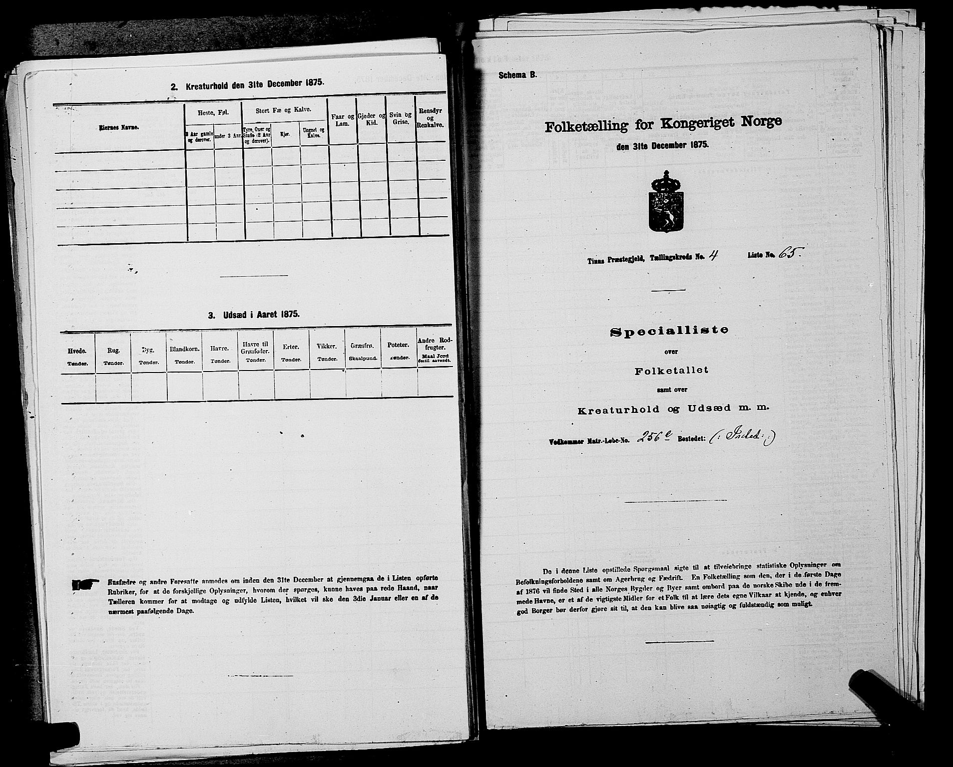 SAKO, 1875 census for 0826P Tinn, 1875, p. 592