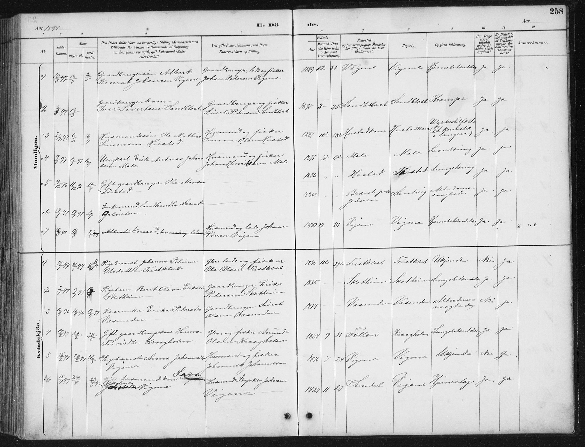 Ministerialprotokoller, klokkerbøker og fødselsregistre - Møre og Romsdal, AV/SAT-A-1454/567/L0783: Parish register (copy) no. 567C03, 1887-1903, p. 258