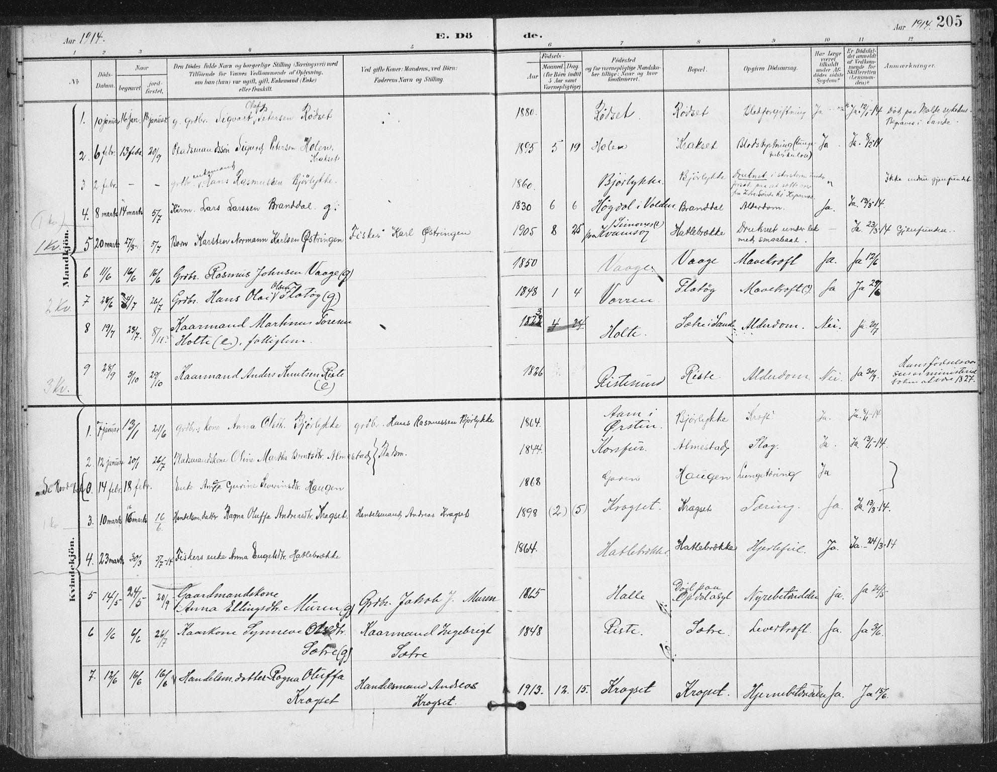 Ministerialprotokoller, klokkerbøker og fødselsregistre - Møre og Romsdal, AV/SAT-A-1454/503/L0038: Parish register (official) no. 503A06, 1901-1917, p. 205