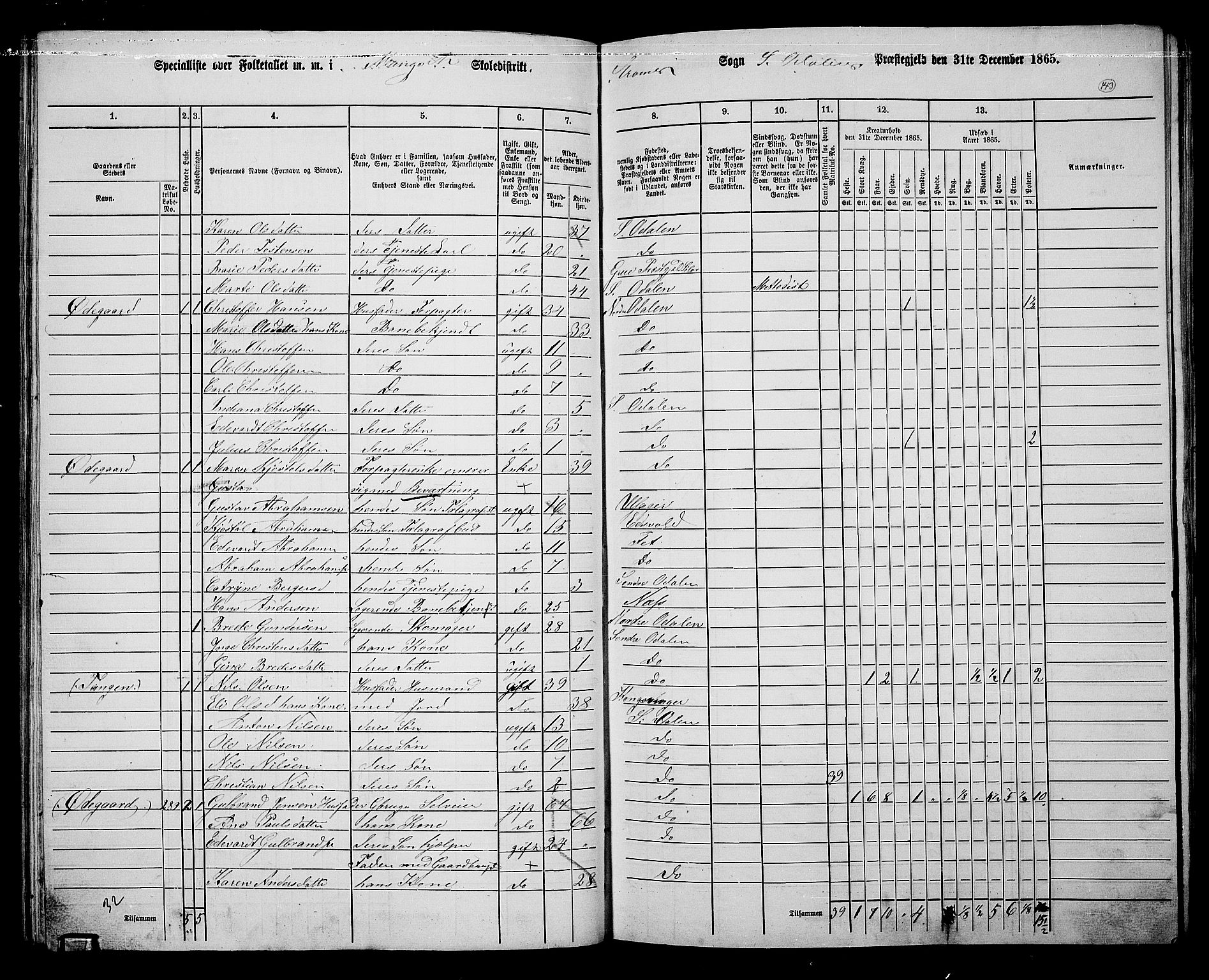 RA, 1865 census for Sør-Odal, 1865, p. 128