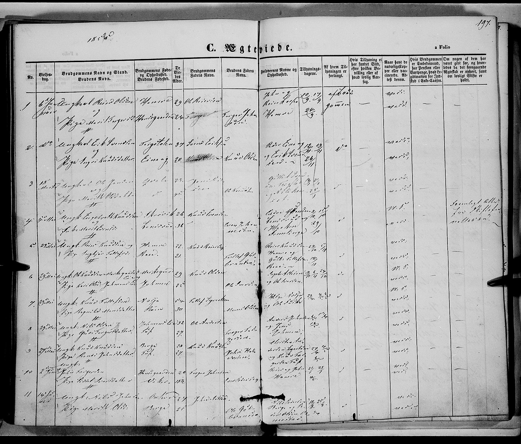 Vestre Slidre prestekontor, SAH/PREST-136/H/Ha/Haa/L0001: Parish register (official) no. 1, 1844-1855, p. 197