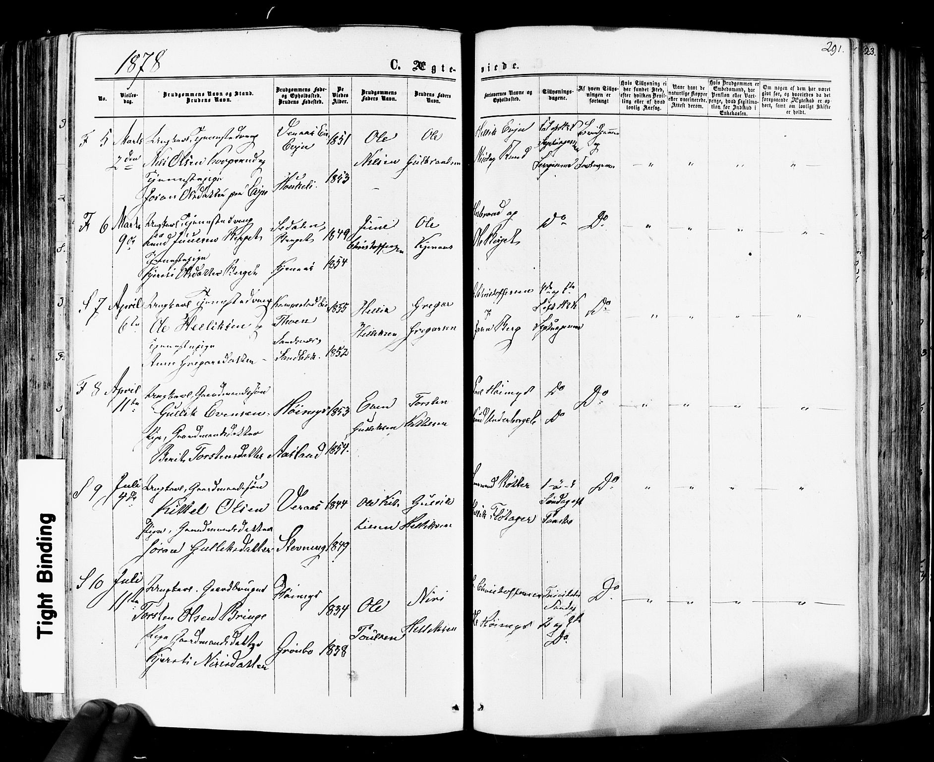 Flesberg kirkebøker, SAKO/A-18/F/Fa/L0007: Parish register (official) no. I 7, 1861-1878, p. 291