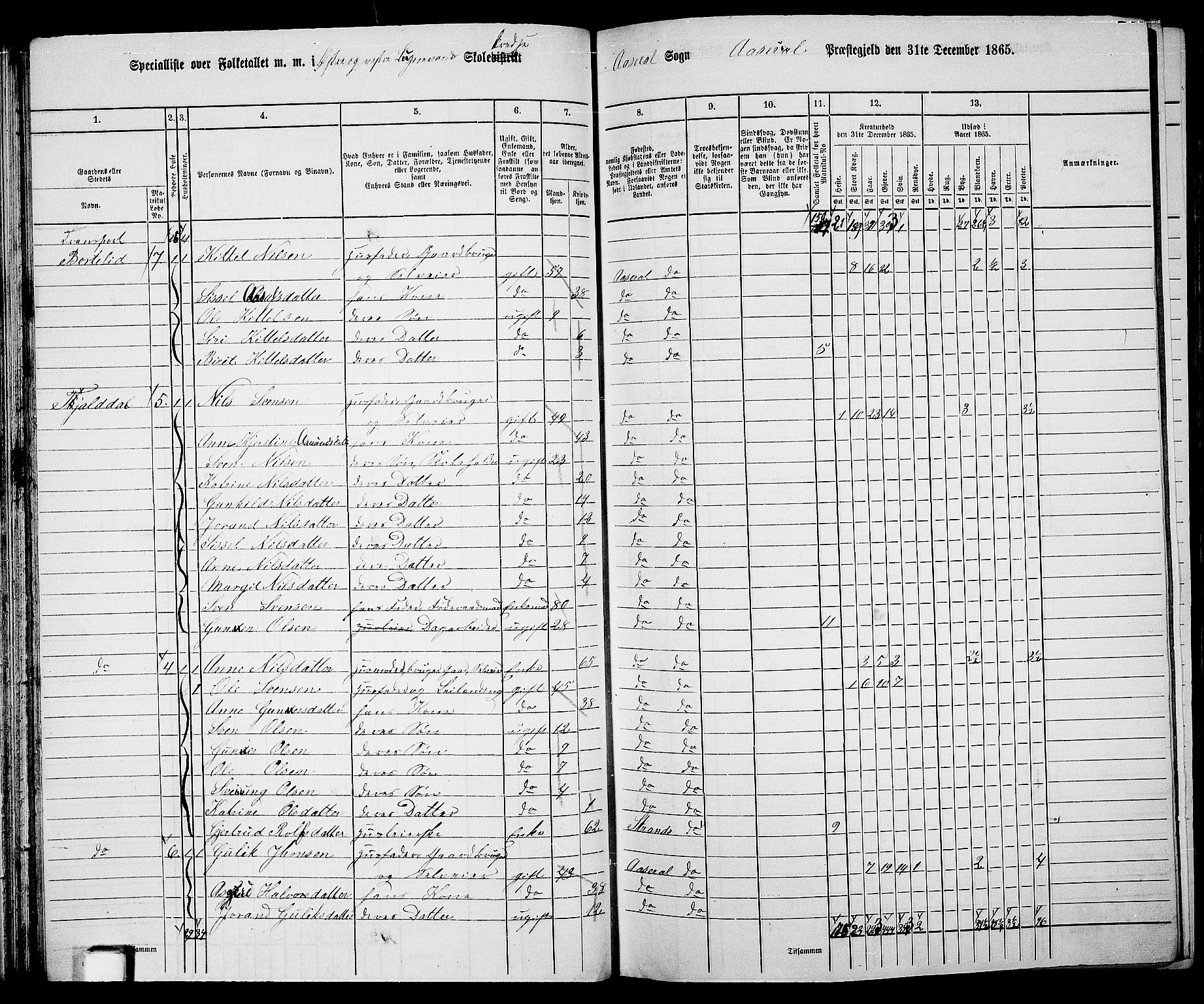 RA, 1865 census for Åseral, 1865, p. 41