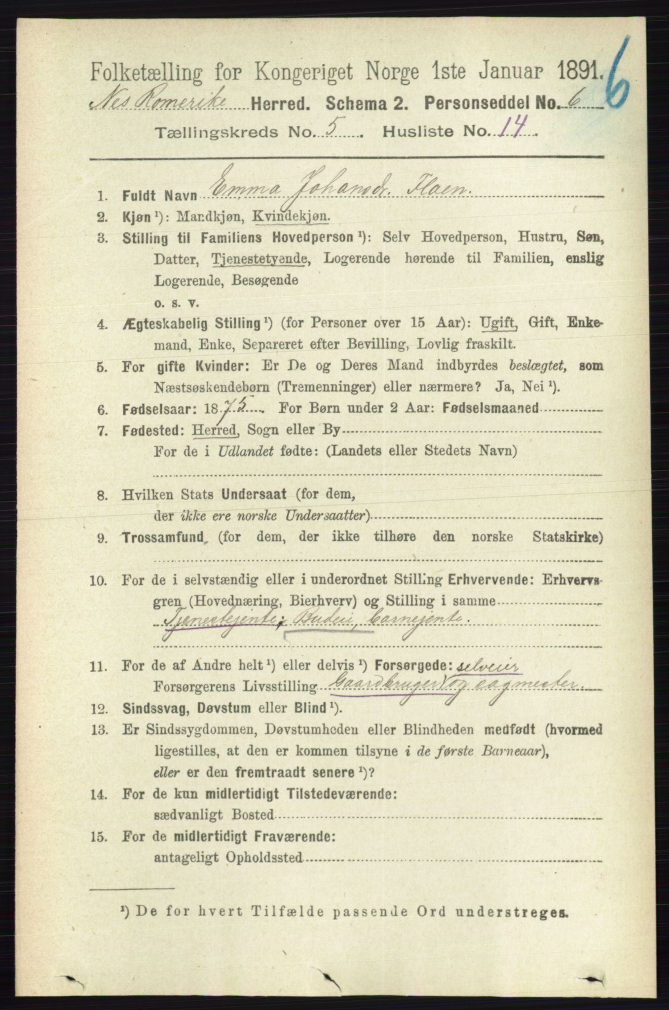RA, 1891 census for 0236 Nes, 1891, p. 2868