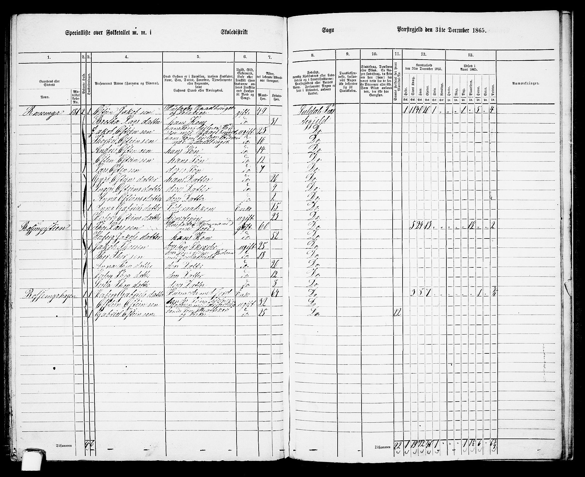 RA, 1865 census for Suldal, 1865, p. 115